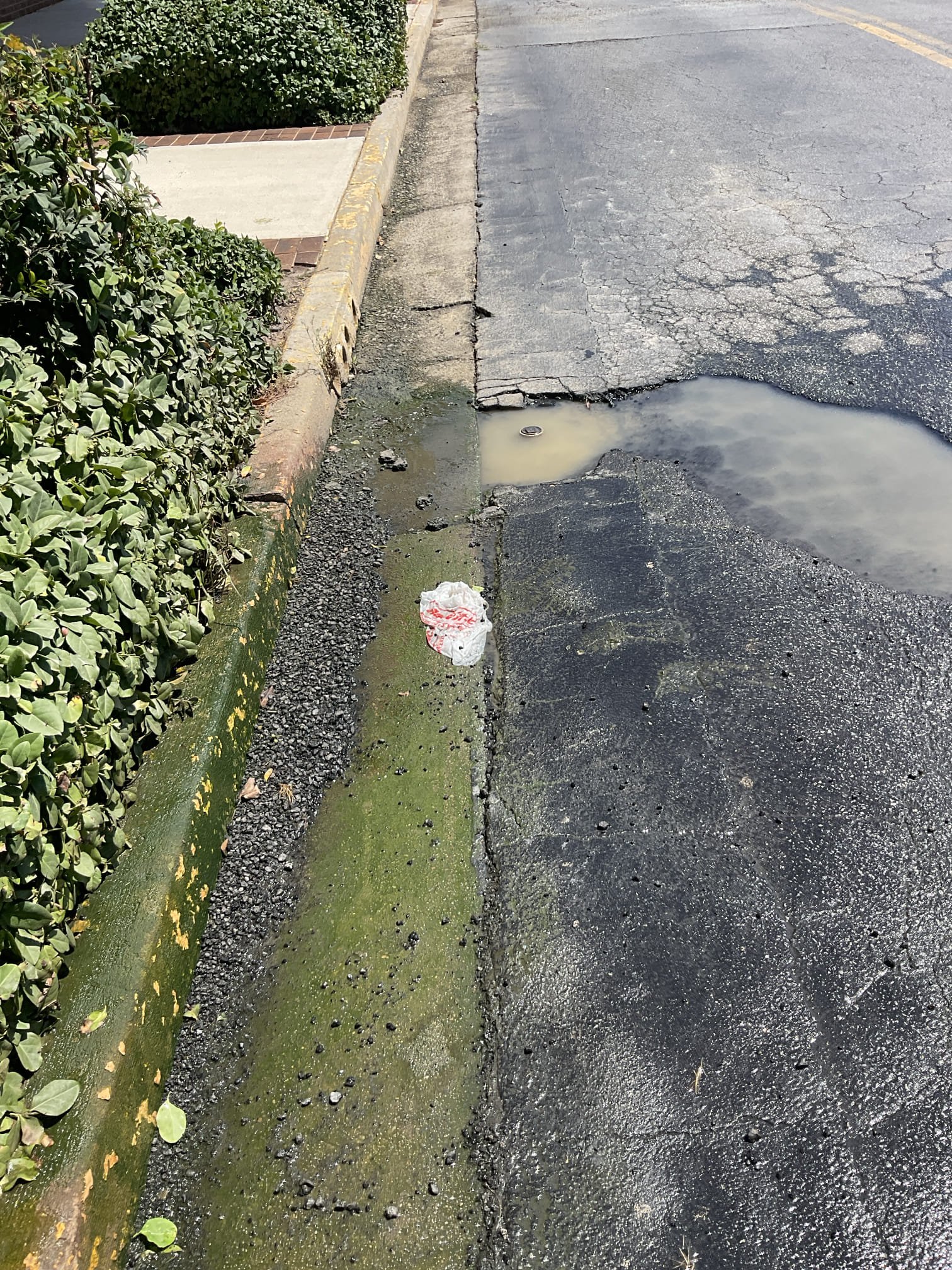 Checked water outside , smell problem , quote sewer repair and jetting work today 