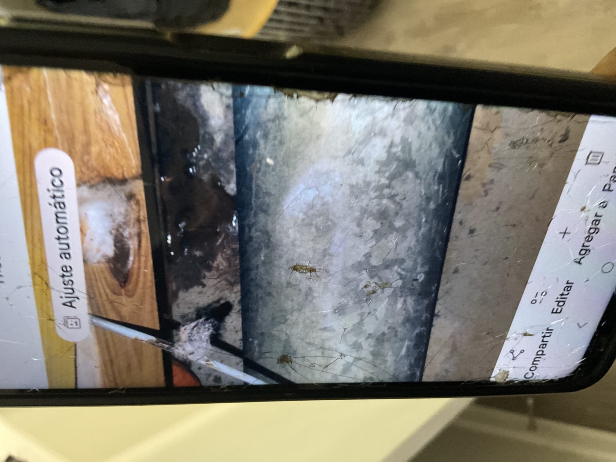 Sunday service call and diagnostic fee for check second floor leak   Checked attic pipe , not plumbing leak , leak is fron hvac system 