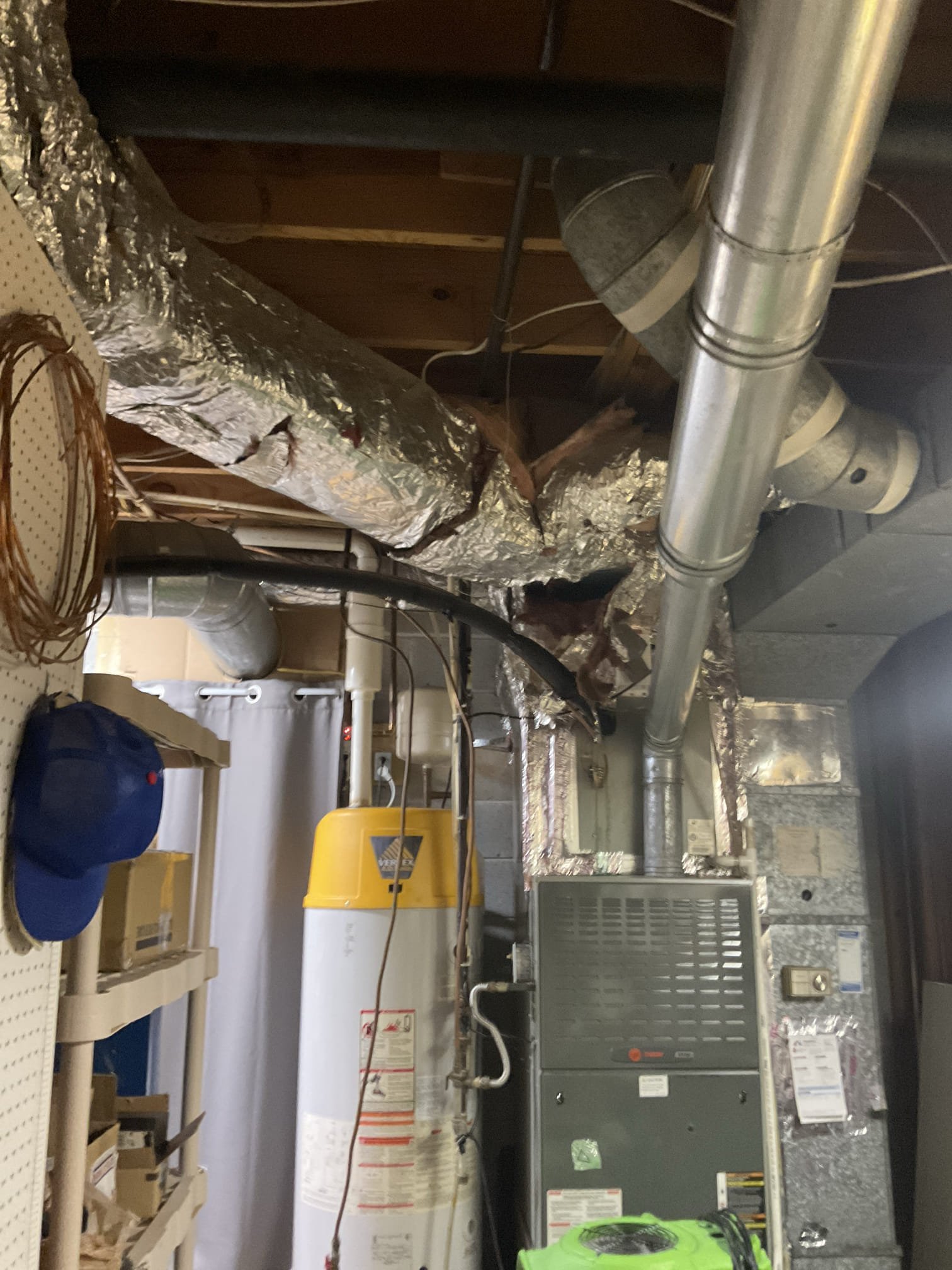 Clean the bathroom sink drain, replace a toilet supply line in basement, remove shower 