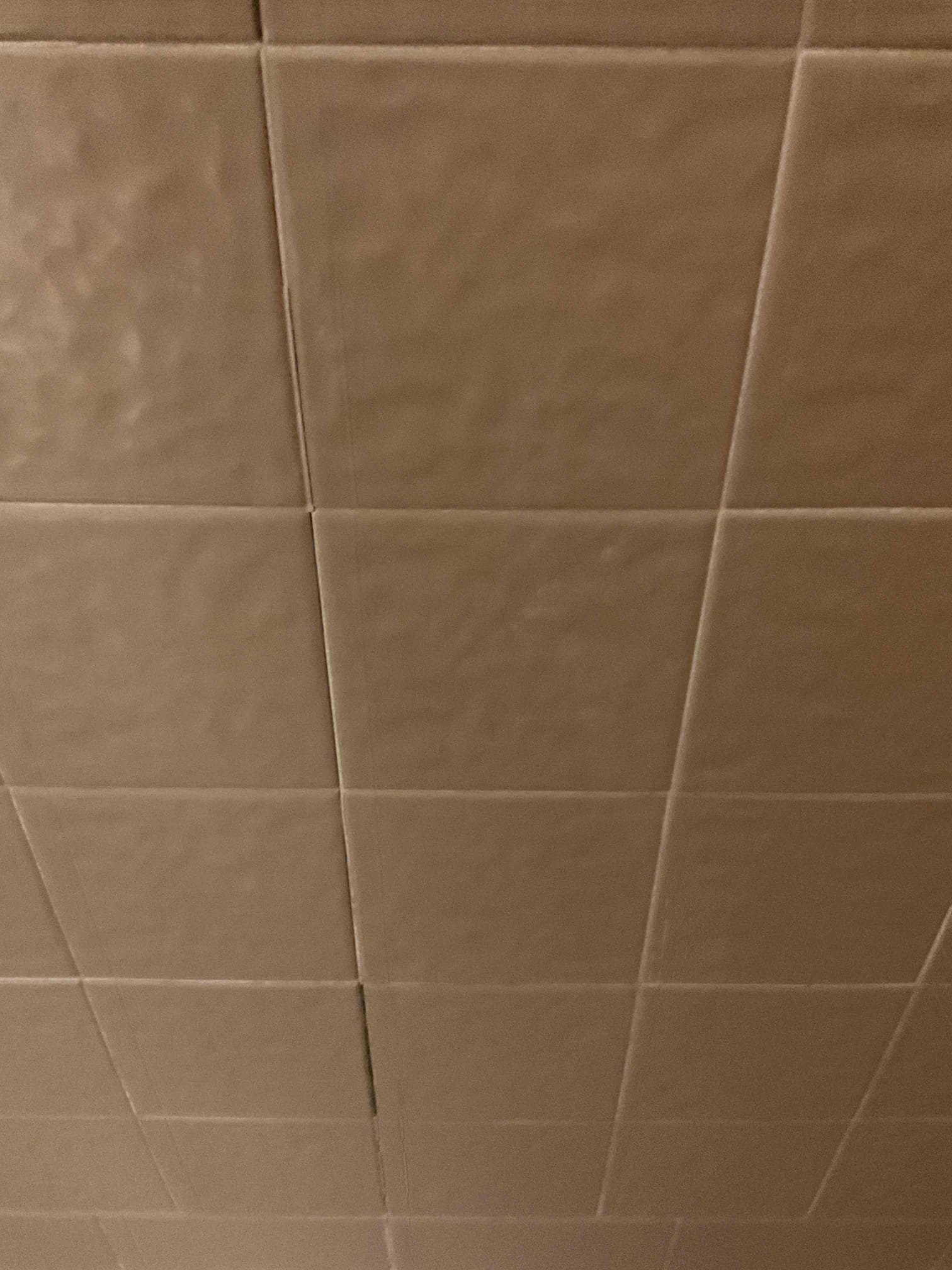 Service fee for checking stain under master bathroom ceiling. 