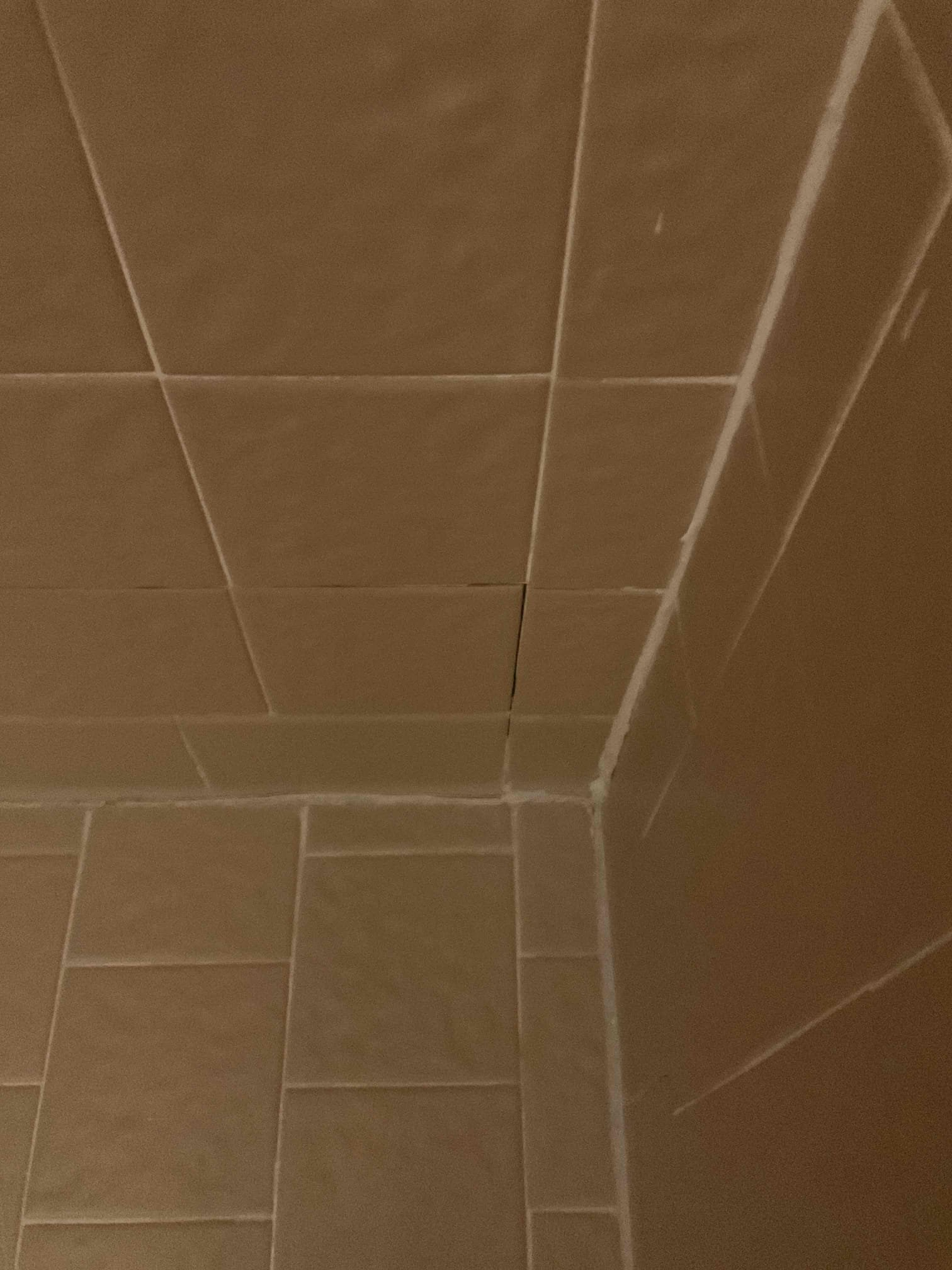 Service fee for checking stain under master bathroom ceiling. 