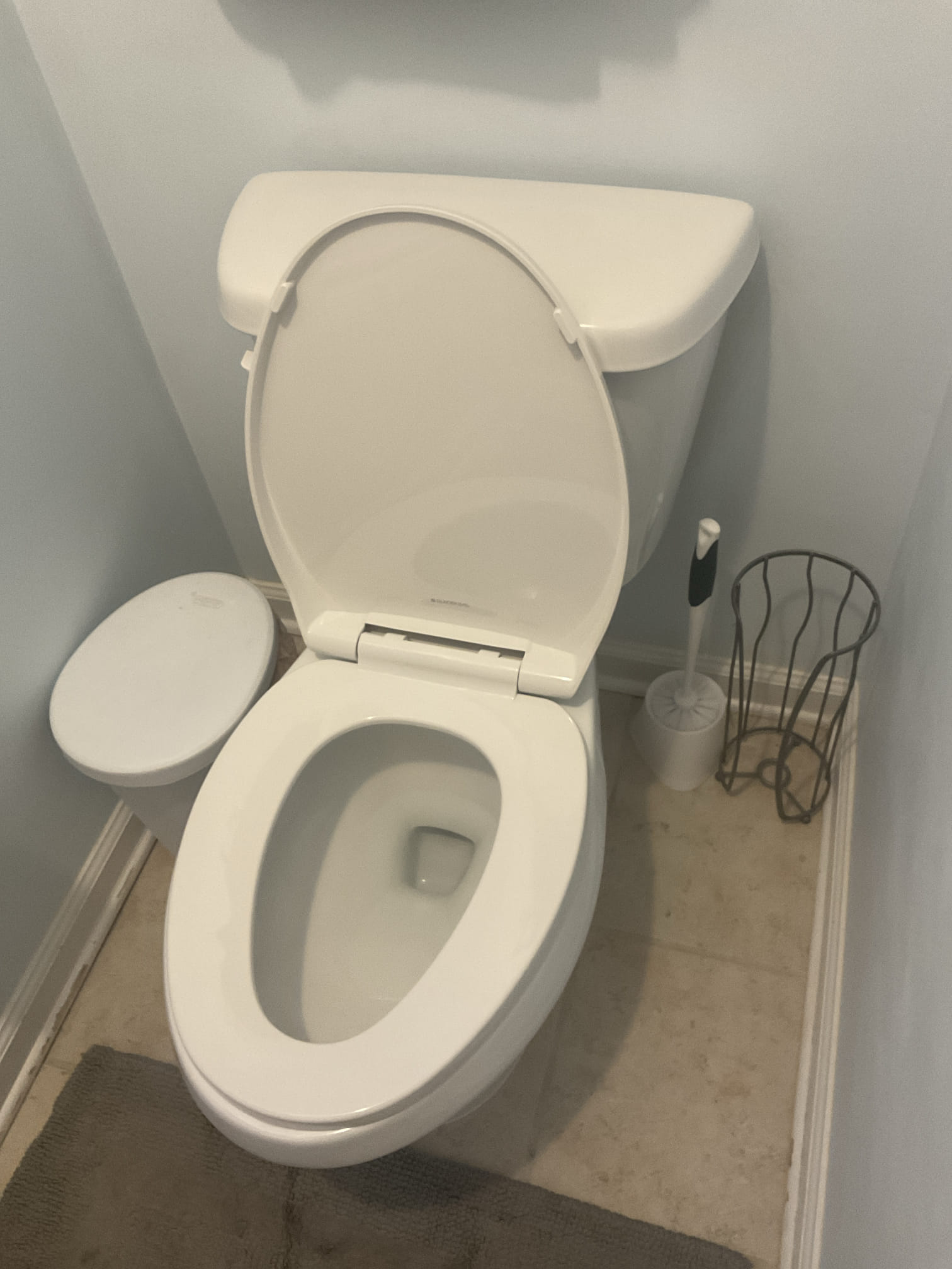 Go back call for brauulio , Replaced round western toilet to elongated western, 