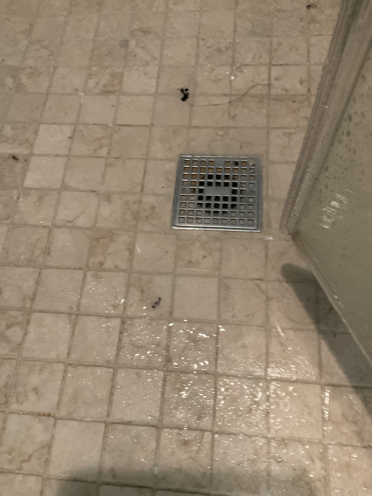 Back up shower drain , snake machine used cleared line 