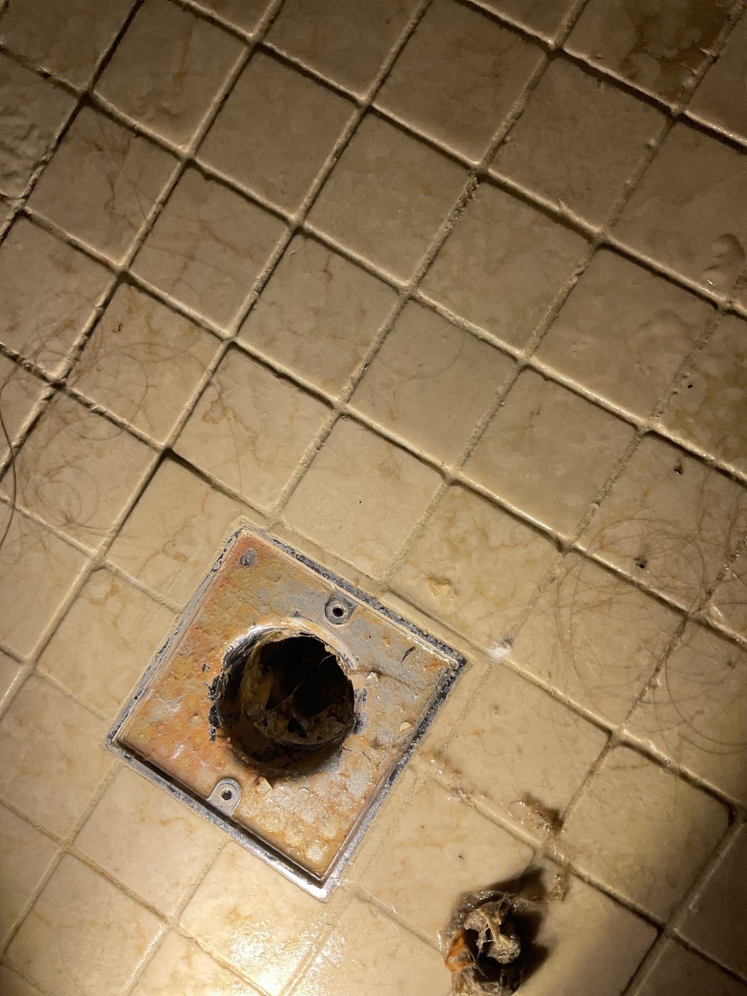 Back up shower drain , snake machine used cleared line 