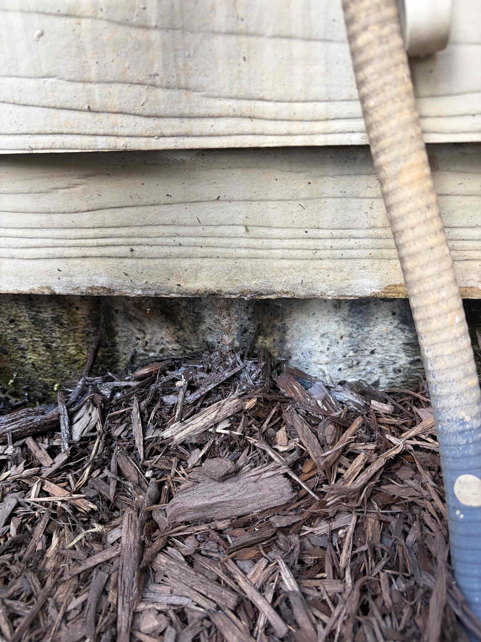 For this customer, I came out to take a look at a leak that was happening near pantry, I assessed the situation, the issue at hand, appears to be a broken HVAC line, causing the issue with the water damage in the pantry. Water is leaking down into the house, causing a leak on the line. The recommendation is to have an HVAC company. Take a look at the initial issue of the line itself. During my thorough inspection, the pressure is high, it’s reading at 80psi and needs to be in the range of 40-80 per code. Provide estimates for the repair. Thank you for choosing Chen plumbing. Have a great rest of your day!

PLUMBING SERVICE REPORT

Date: September 6, 2026
Location: Kitchen Pantry

Reported Issue:
Water damage was reported in the kitchen pantry.

Inspection Findings:
Upon inspection, a leaking HVAC condensate/drain line was identified as the source of the water intrusion. The leak from the HVAC line allowed water to accumulate and migrate into the adjacent kitchen pantry area, resulting 