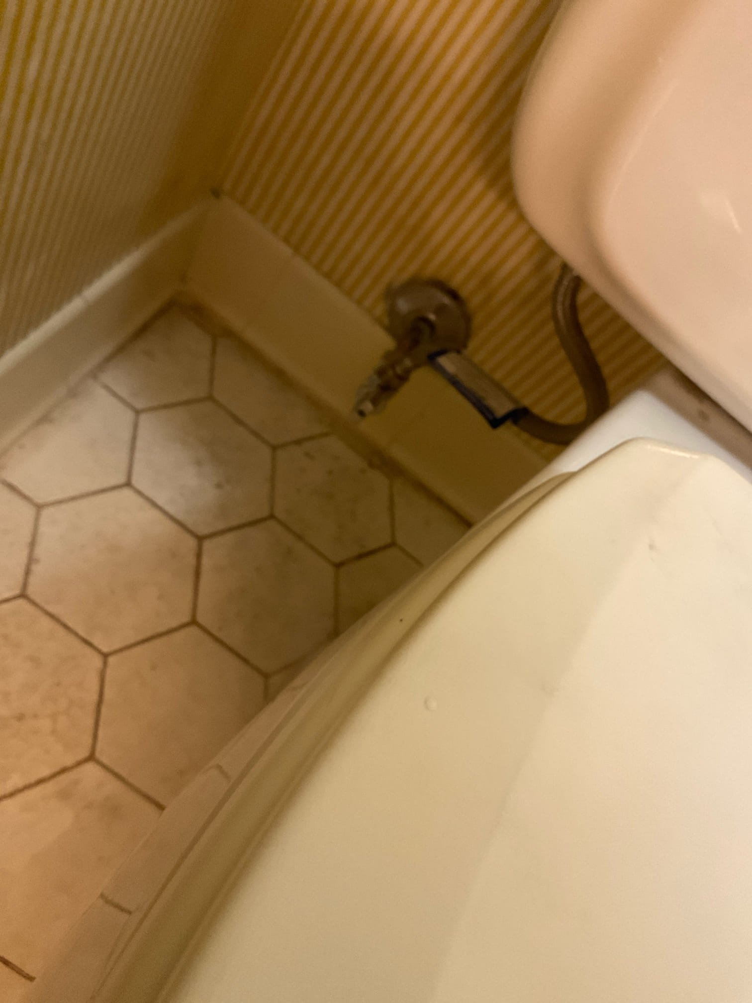Customer stated that supply line for toilet has broken and flooded home. Took a look and found that supply line was a stainless steel Braided supply line with a plastic nut and supply line broke at plastic nut. Tested water pressure to home water pressure tested fine. Gave customer options on repairs. Went ahead and shut water off to home and installed new service valve and rebuild toilet by replacing full valve flapper and supply line. Turn water back on and tested. No leaks were present this time and everything was working as it should. Cleaned up work area as best as I could. Referred provision.