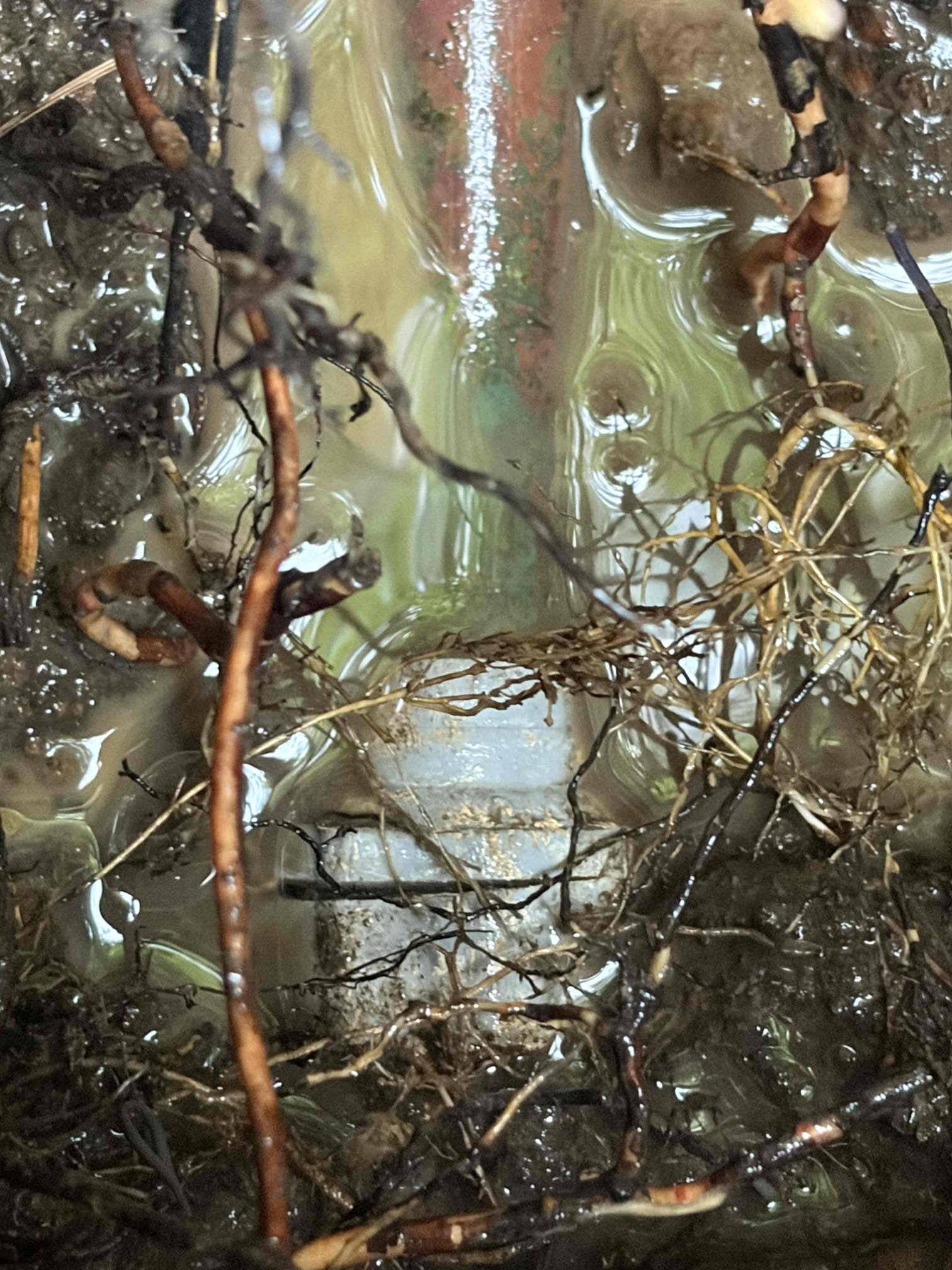 Repaired leak coming from 3/4 water service. Installed new meter nipple and tied back into copper with pex.