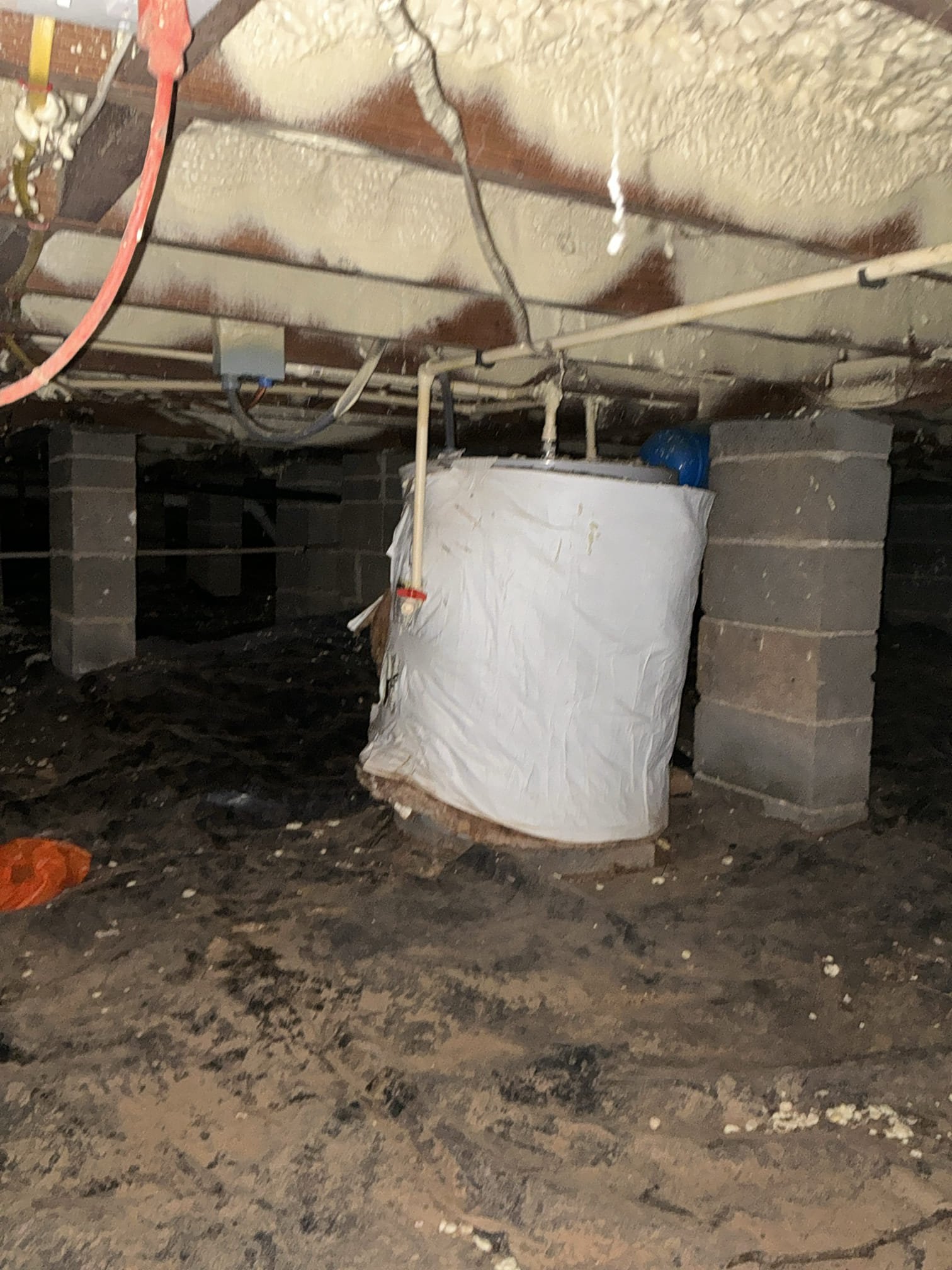 Performed win with Chen annual plumbing inspection with membership. Everything in the home is working properly and no leaks detected at this time. Water heater has a jacket and could not tell age. Customer says it was replaced before they moved in by previous owner in 2019. Pressure in home is good and at 50 psi. 

Left estimates for water heater replacement in future 