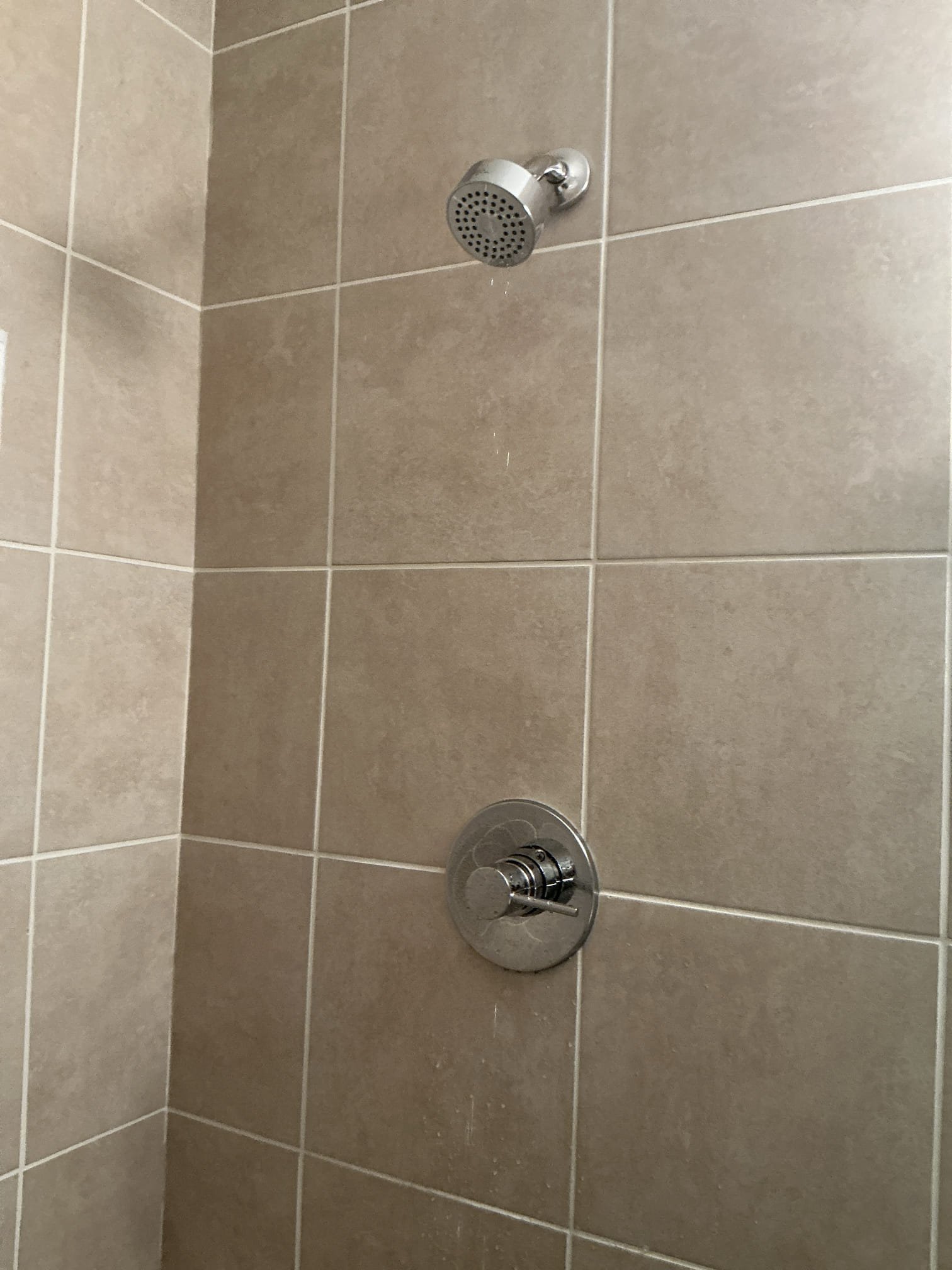 Diagnosed guest shower not staying hot. Tested guest shower for 15-20 min of running hot water and even running other fixtures, no changes in temperature water stayed hot and cartridge for shower looks newer and working well. Bathroom was renovated by previous owners in recent years. No issues found with shower staying hot, also checked tankless unit and everything looks good for an 11 year old heater. Adjusted temp down to 130. No other issues found today