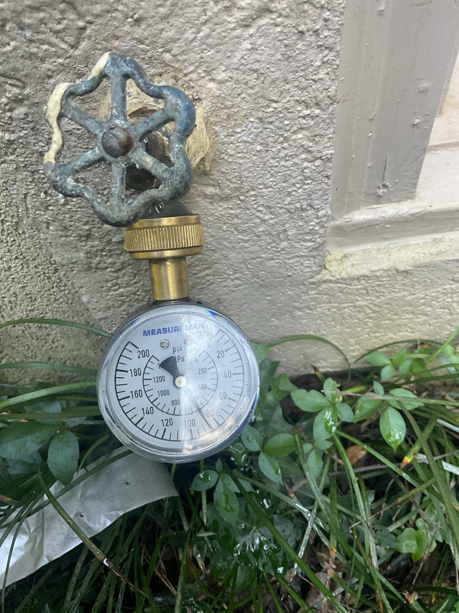 Snake main line , camera and located roots problem outside 