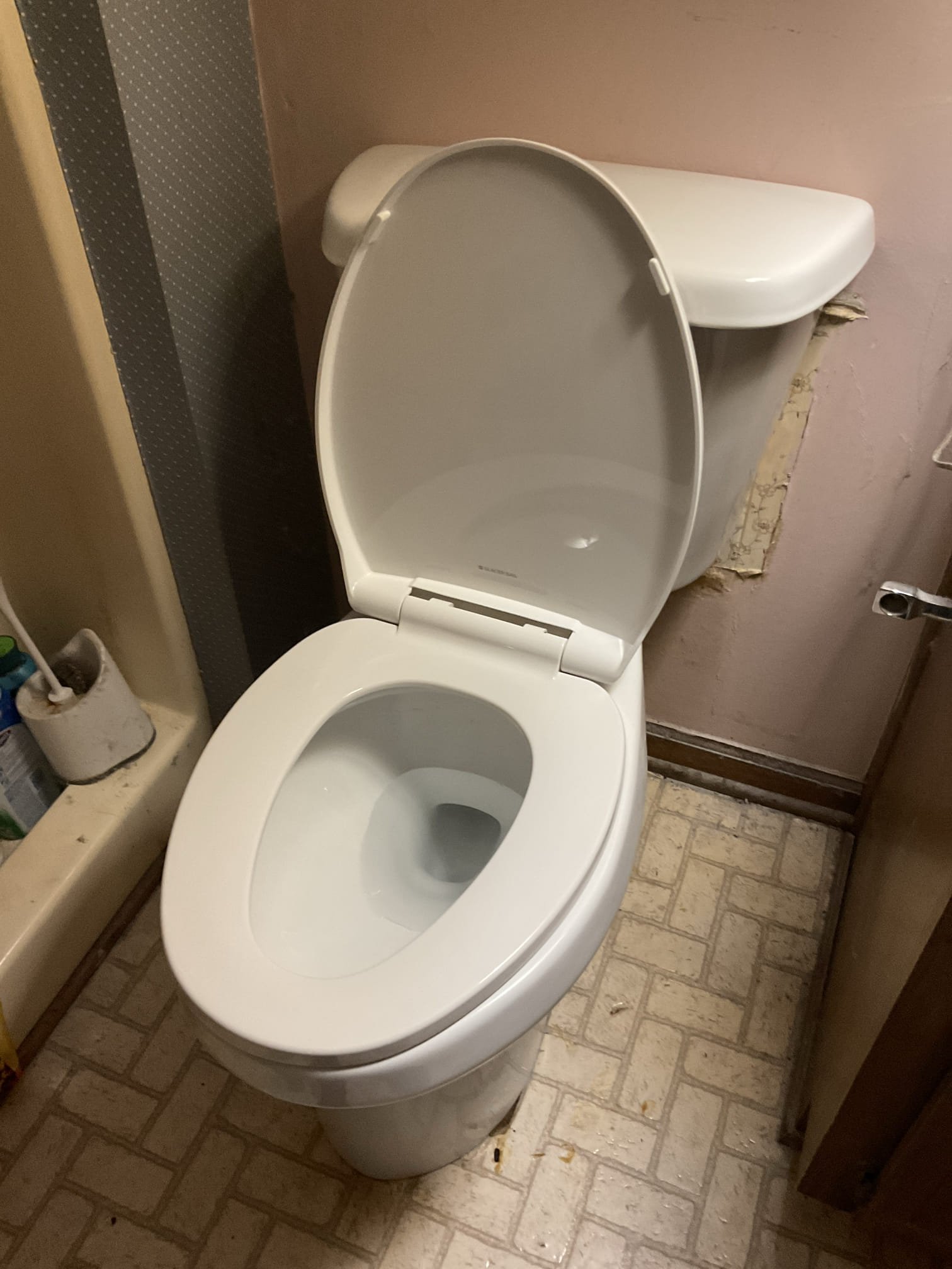 Today we replaced an old toilet with a western ADA toilet ,did  camera inspection , found no further clog , discussed and signed membership with customer today , checked water heater and pressure, all good . 