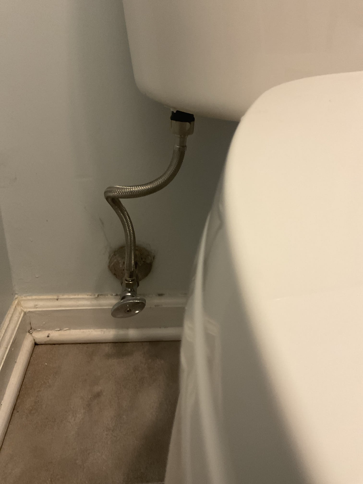 Today we Replaced a toilet stop valve and supply line in the lower level bathroom behind the garage 
