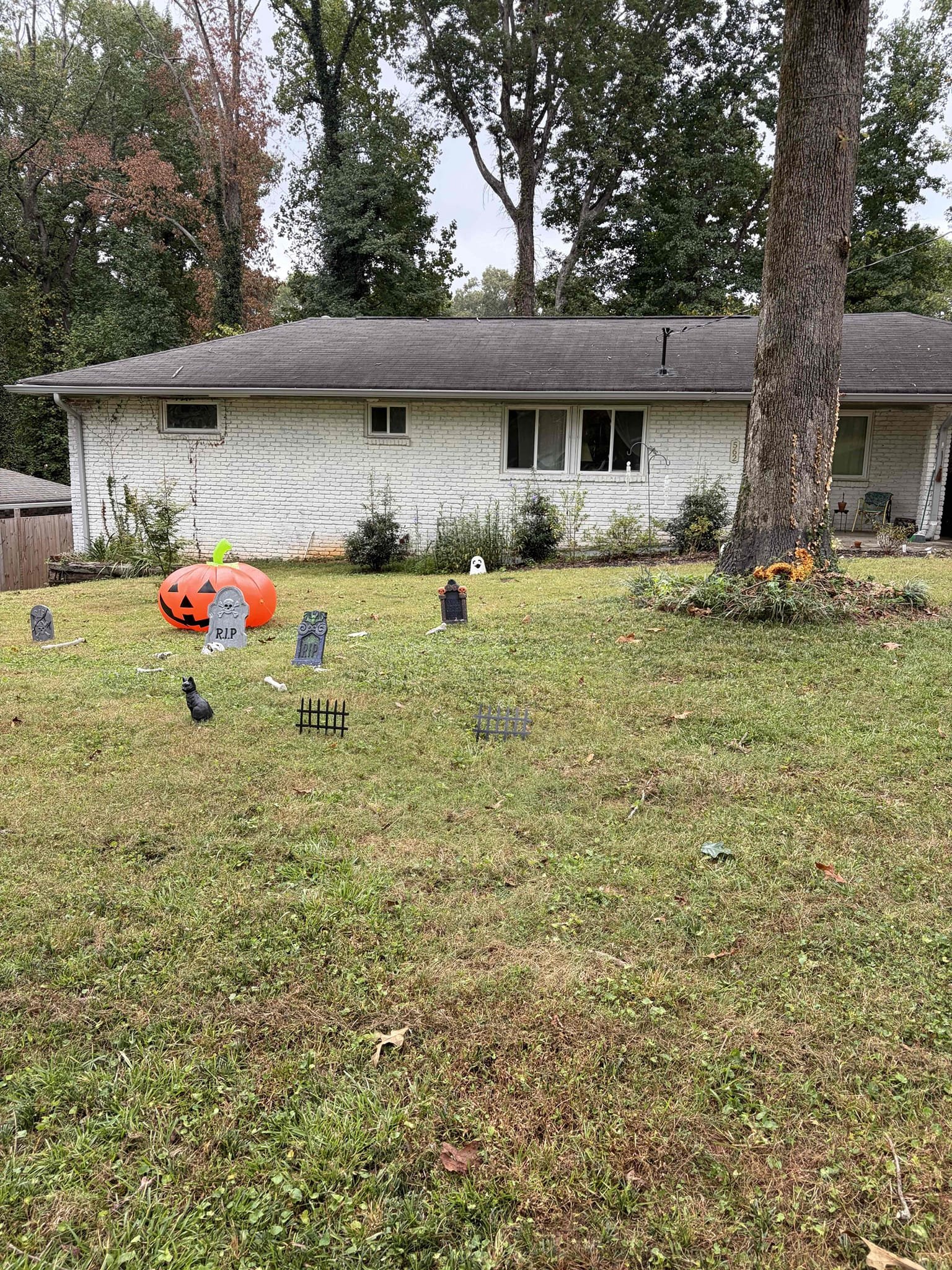 Exploratory dig in the front yard
For this job came out to take a look at a leak on the side of the water meter so therefore, I recommended to do an exploratory dig to figure out what was going on with the wet spot beforehand we prop the ground to uncover that the ground and soil are wet so therefore, I recommended to dig up a section grass in that area to uncover what was leaking and it turned out to be the galvanized service line from the meter to the home so the recommendation it was to replace the full service line due to the fact of where it’s broken we cannot no longer fix it so the customer signed off on the estimate to do the work so we will be coming back in the morning to replace the service line