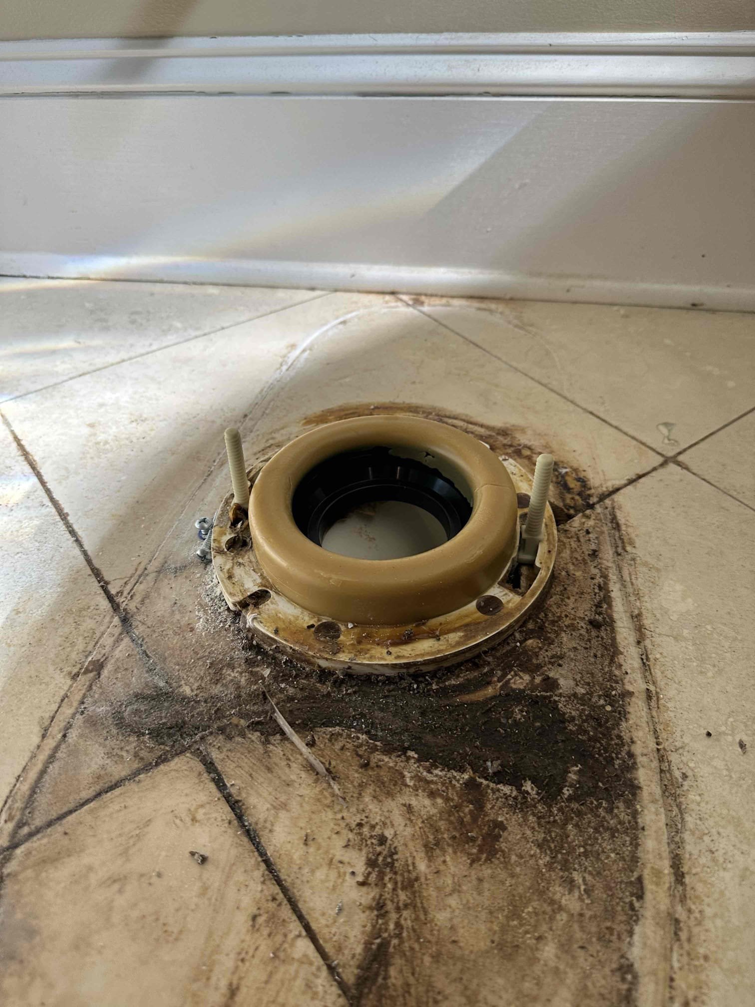 Diagnosed issues with toilets in home. Powder room toilet and toilet in master bathroom both had water underneath toilet. Recommended pull and reset. Pulled both toilet and cleaned old wax and water. Reset toilets with new proper wax rings, new toilet bolts, and new supply lines. Tested for proper operation. No leaks found after work completed and cleaned workspace.

Left estimate for pressure regulator replacement 