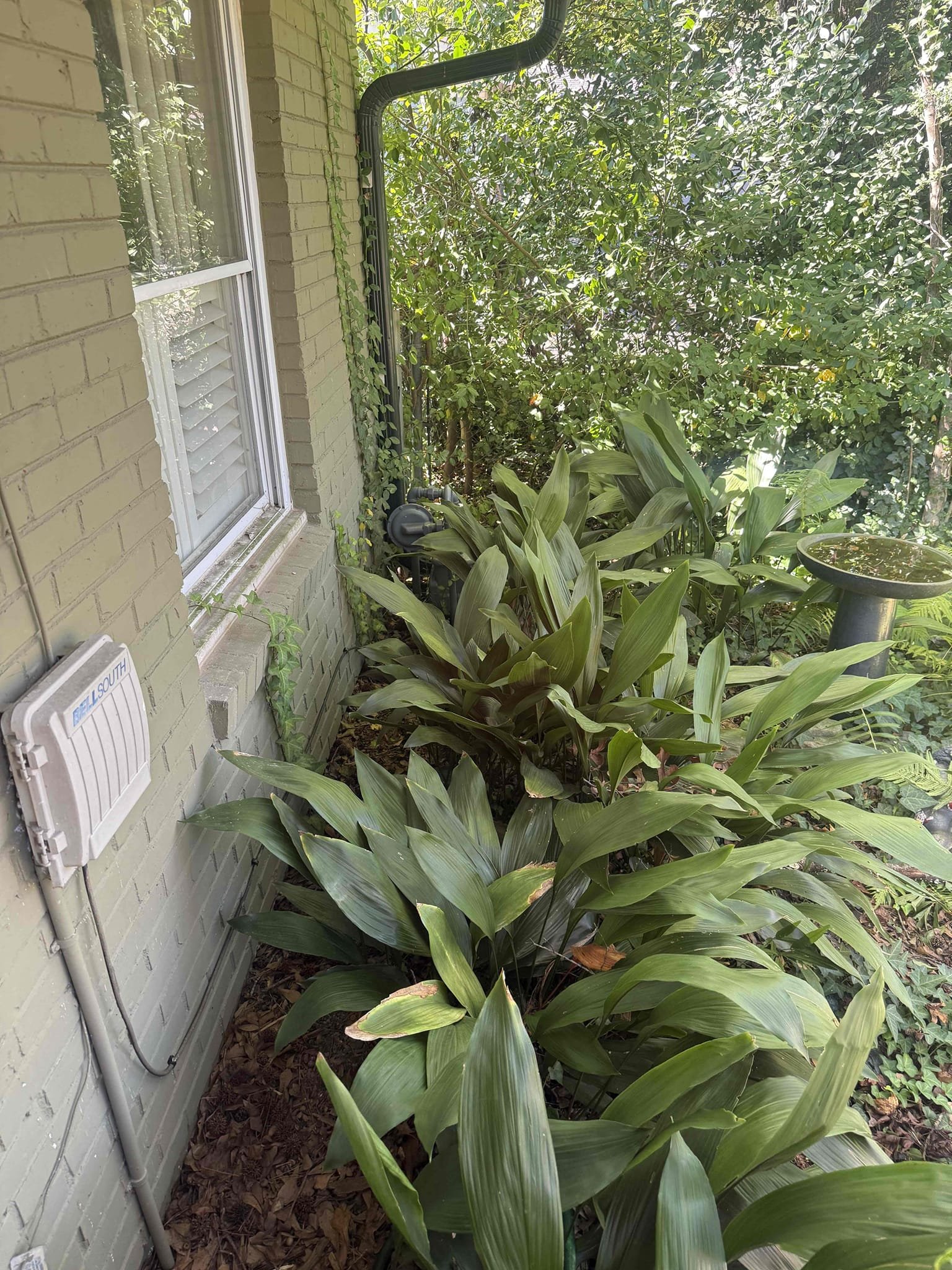 Customer needing new gas line ran due to black iron gas line leaking. Customer stated the porch that was built after the house was built on top of the gas line and it is now leaking. Informed customer we could run tracpipe along the wall of the house to connect back to the existing gas line that is not under the slab. We will also be running a new line for the hvac unit in the attic. Gave customer estimate, customer approved estimate. Customer paid 25% today. We will be out Thursday to complete the job.