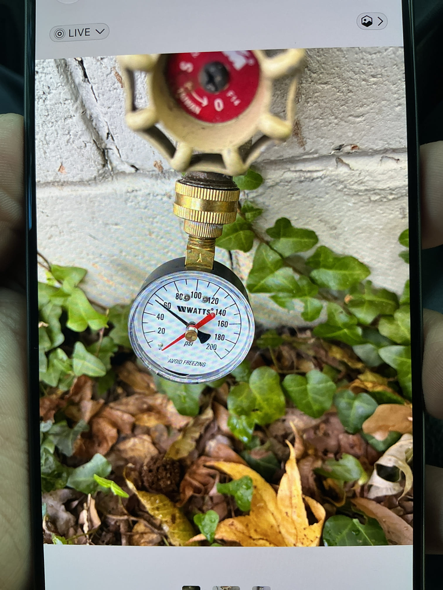Customer had a leak underneath the kitchen faucet. The water line nut was loosened below sink and went ahead and tightened it up for them. That solved the leak for the faucet leak. Also explained to customer that his electric 40 gallon water heater was 10 years old and would need replacement. Left customer 3 quotes (with membership/without membership) for replacement of water heater and kitchen faucet. Customer stated he would want to go over with his girlfriend to make final decision.