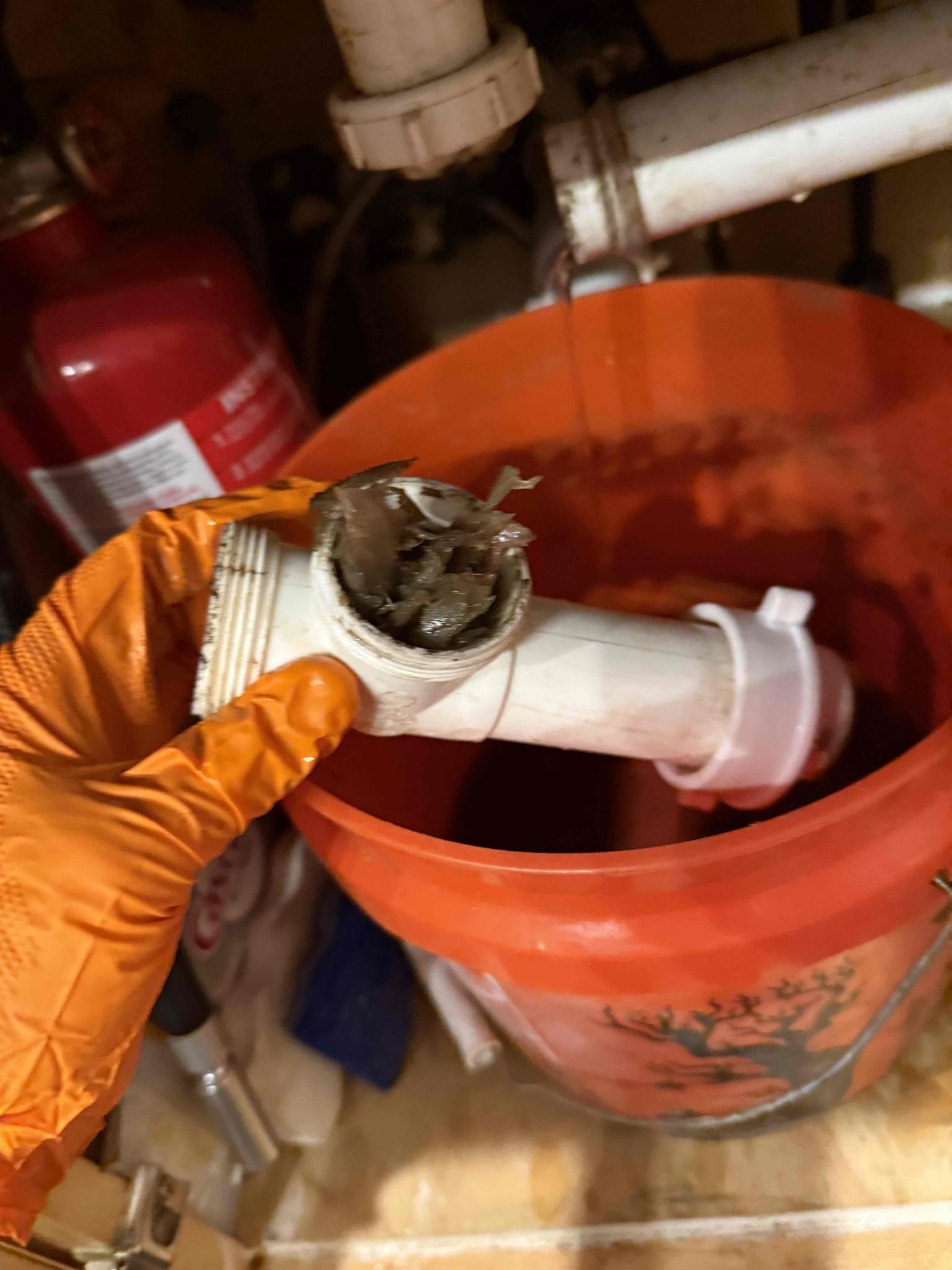 Garbage disposal causing right side of sink to backup. Customer stated the right side won’t drain after putting food scraps down the disposal. Informed customer we could take apart the branch arm and clean it out. Gave customer estimate, customer approved estimate. Took apart p trap and cleaned out food scraps. Filled up sink multiple times to test for leaks and make sure it was draining. Sink is draining properly and no leaks at departure 
