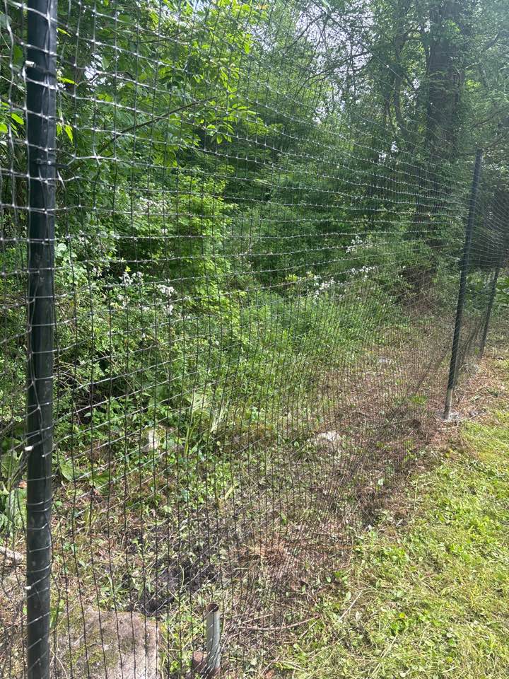 Redding, CT - Deer fence install 