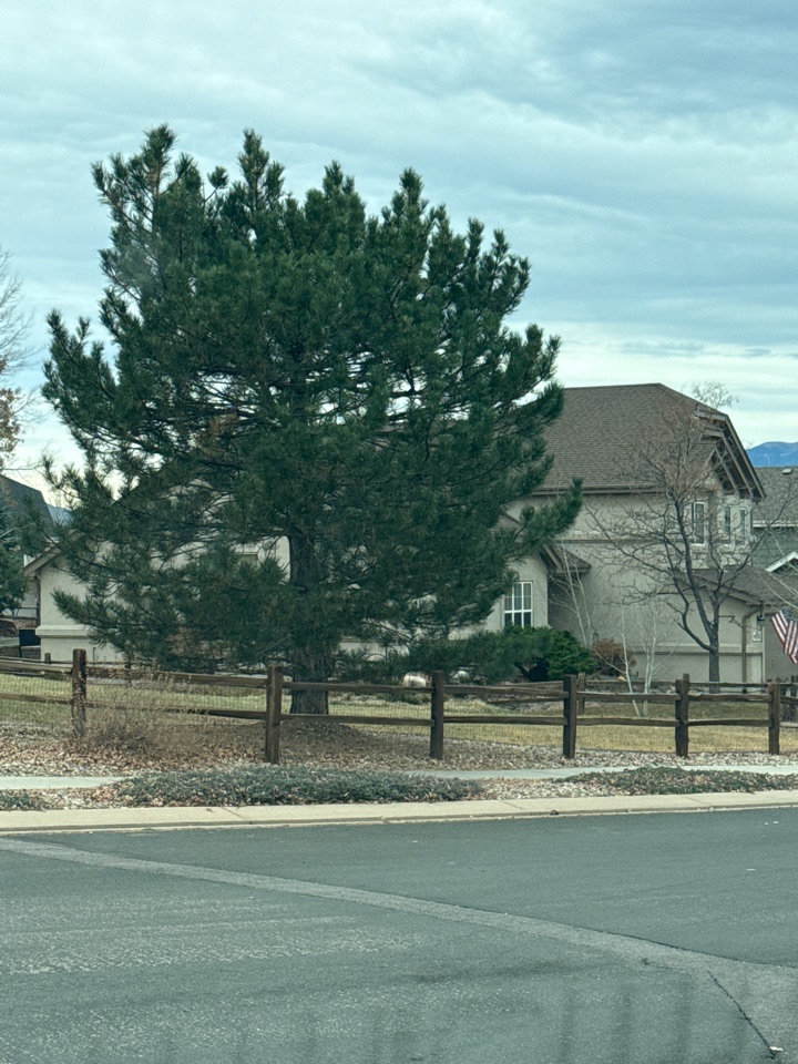 Colorado Springs, CO - Top Rail Fence is in Colorado Springs, CO doing estimates for cedar split rail fencing. 
