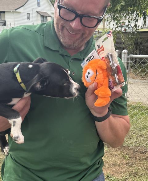Independence, MO - Top Rail Fence brought toys for our newest fence customer, named Toby. 