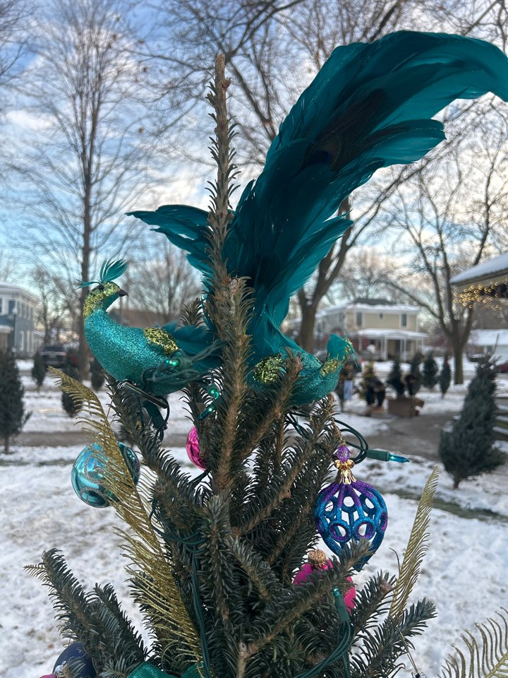 Dexter, MI - Decorating downtown Dexter for Light up Dexter.