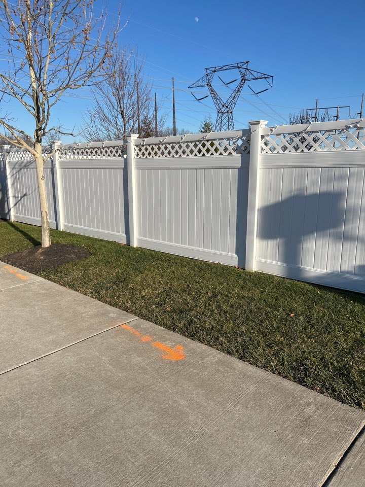 Glen Allen, VA - 5+ one vinyl with lettuce