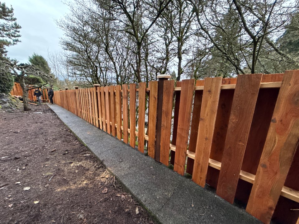 Seattle, WA - Downslope shadow box in Magnolia today.