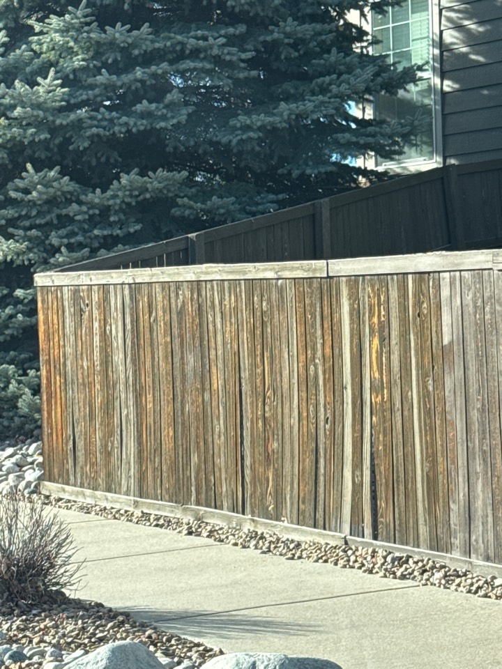 Castle Rock, CO - Top Rail Fence is in Castle Rock, CO doing estimates for Cedar Privacy Fences with a Top Trim! Call us today for a free estimate! 