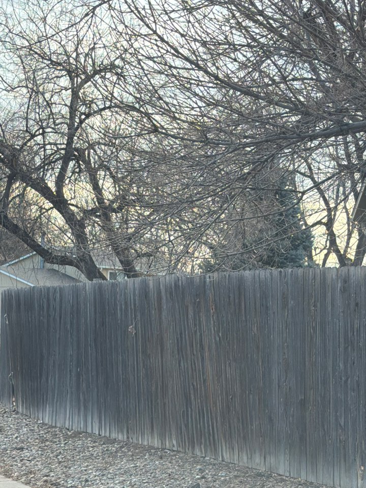 Littleton, CO - Top Rail Fence is in Littleton doing estimates for Cedar Privacy Fences! 