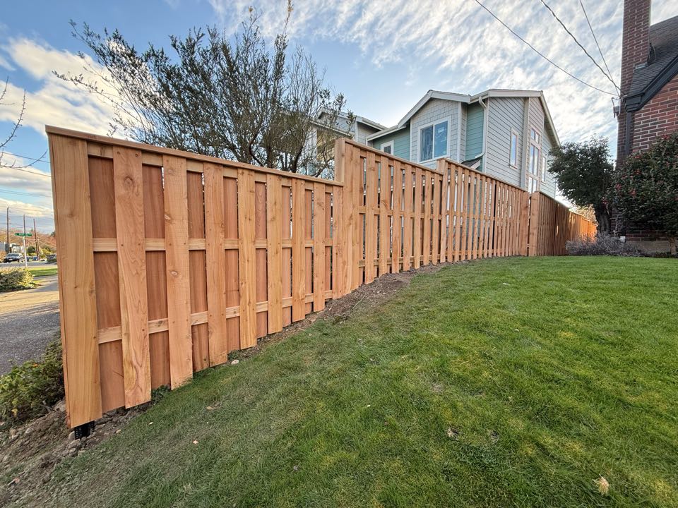 Seattle, WA - Shadow ox on postmaster in the Rainier valley today.
