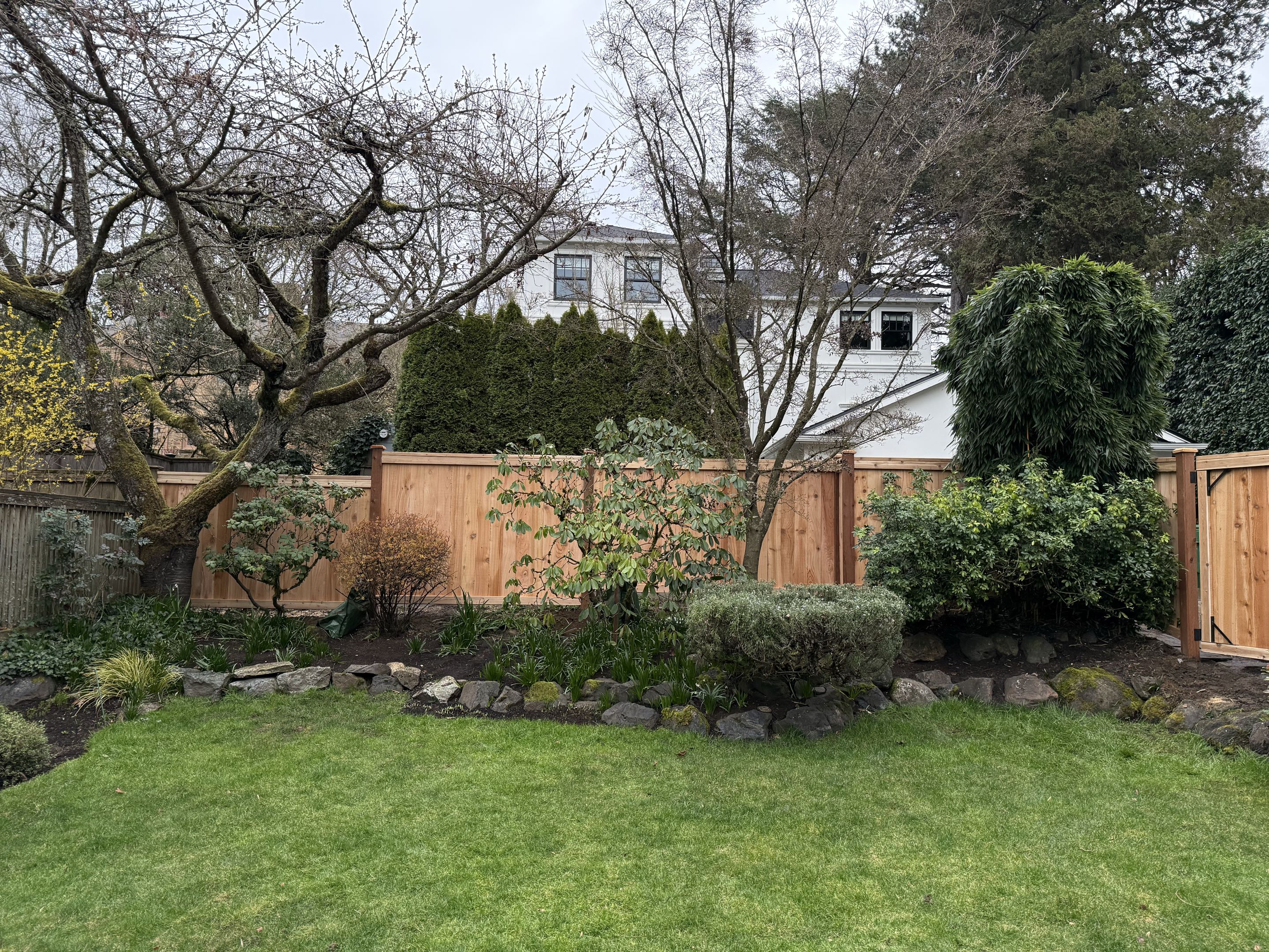 Seattle, WA - Cap and trim in Madison Park today.