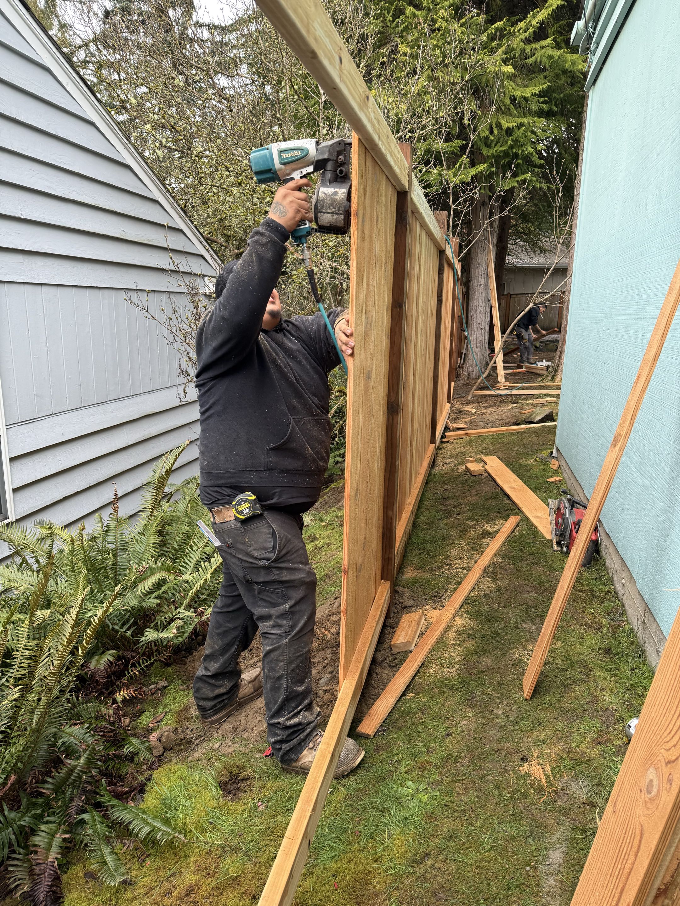 Seattle, WA - Cap and trim in a thankfully rain free day in Wedgwood today.