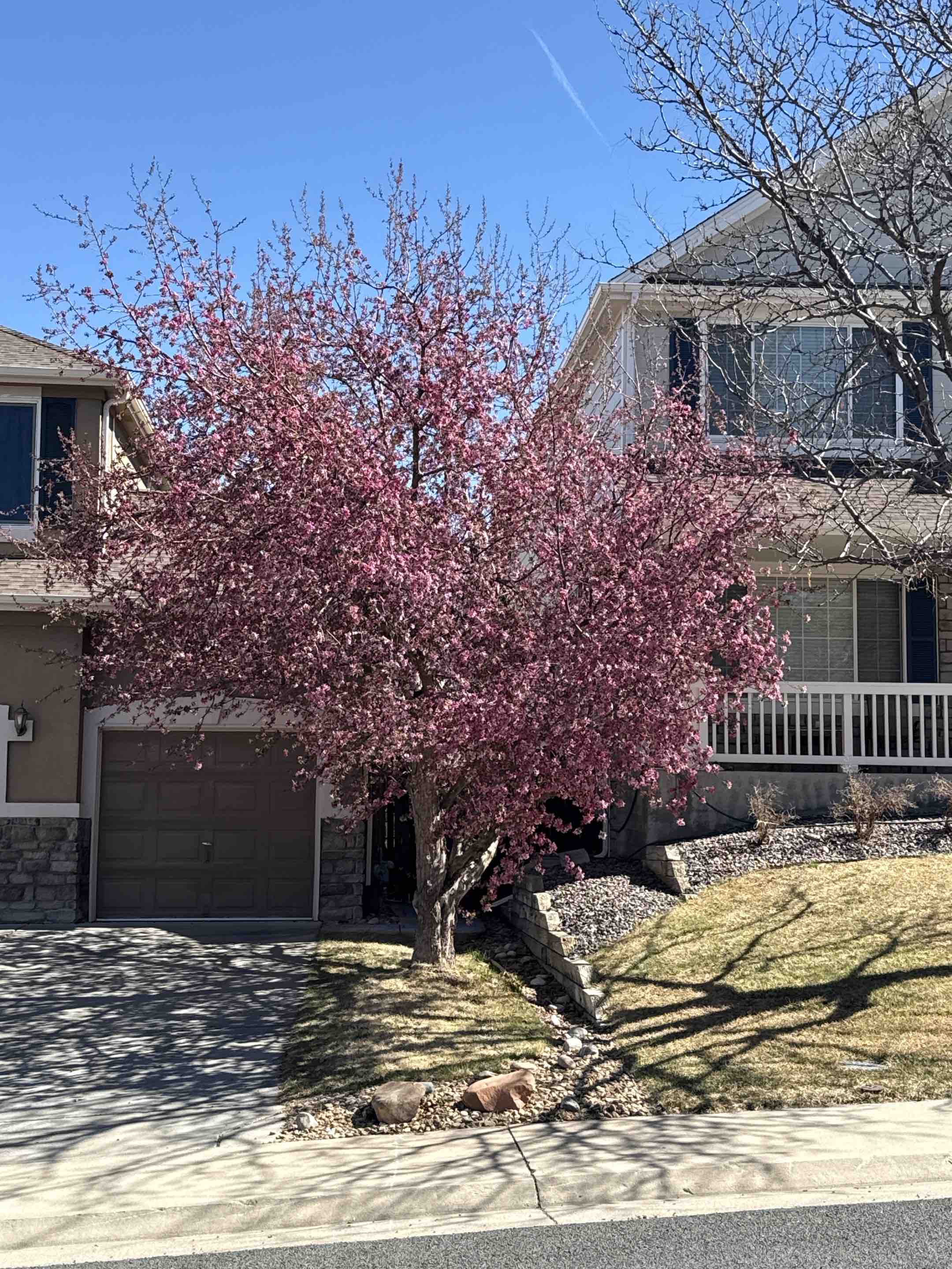 Aurora, CO - Top Rail Fence is in Aurora CO doing estimates for cedar privacy fences!