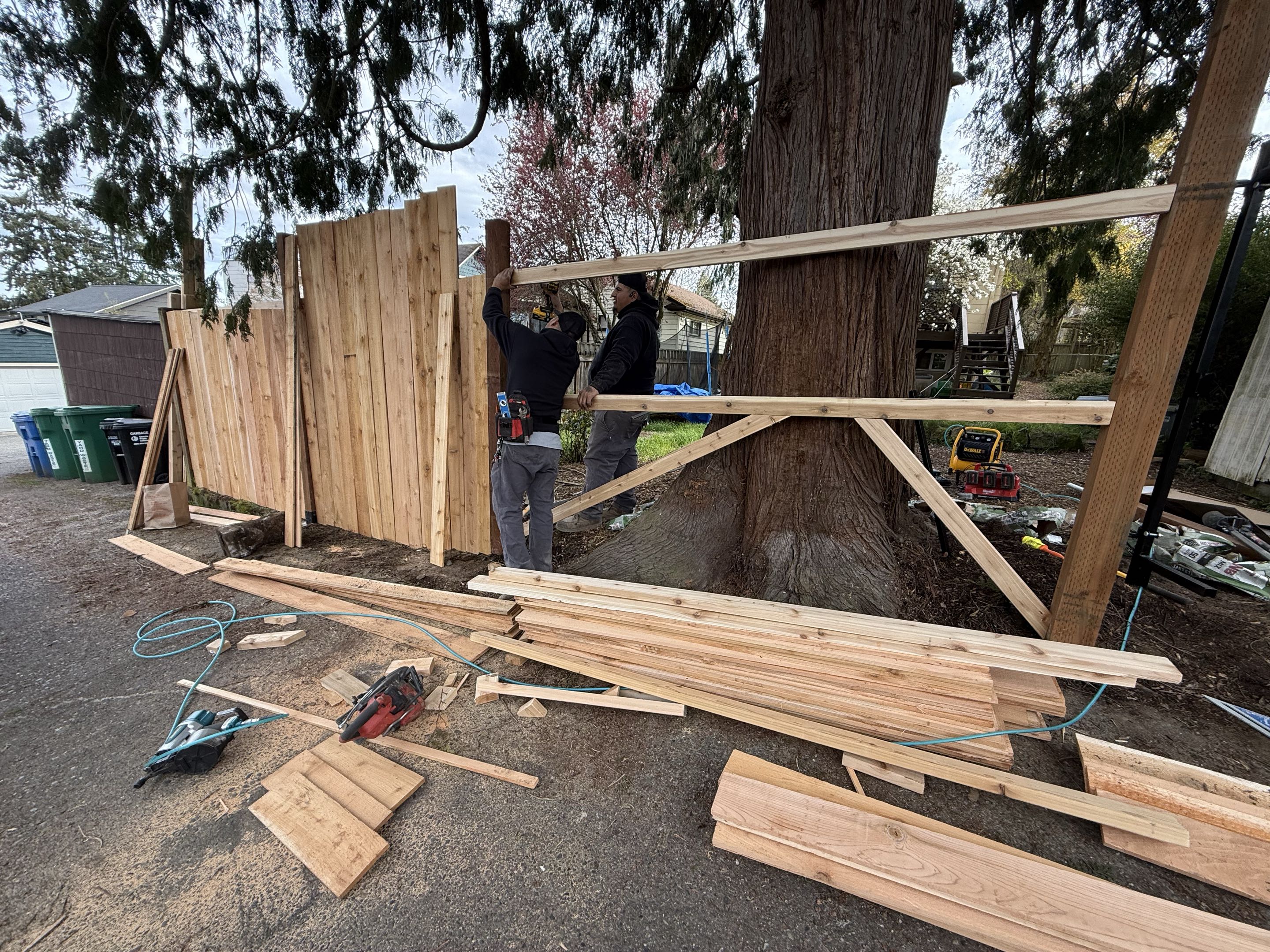 Seattle, WA - Framing around a big tree in Phinney ridge today.