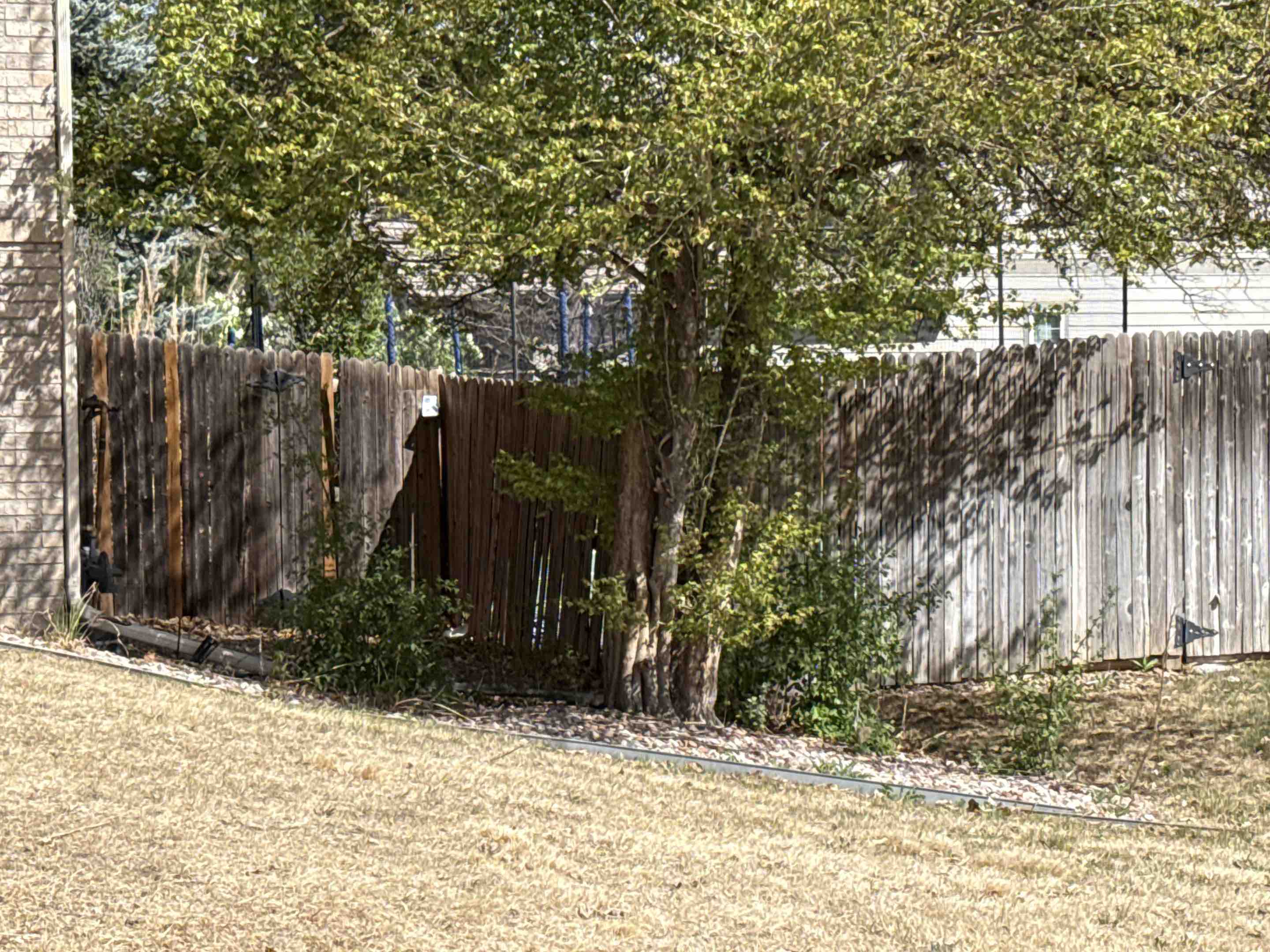 Englewood, CO - Top Rail Fence is in Greenwood Village CO doing Estimates for Cedar and Ornamental fences!