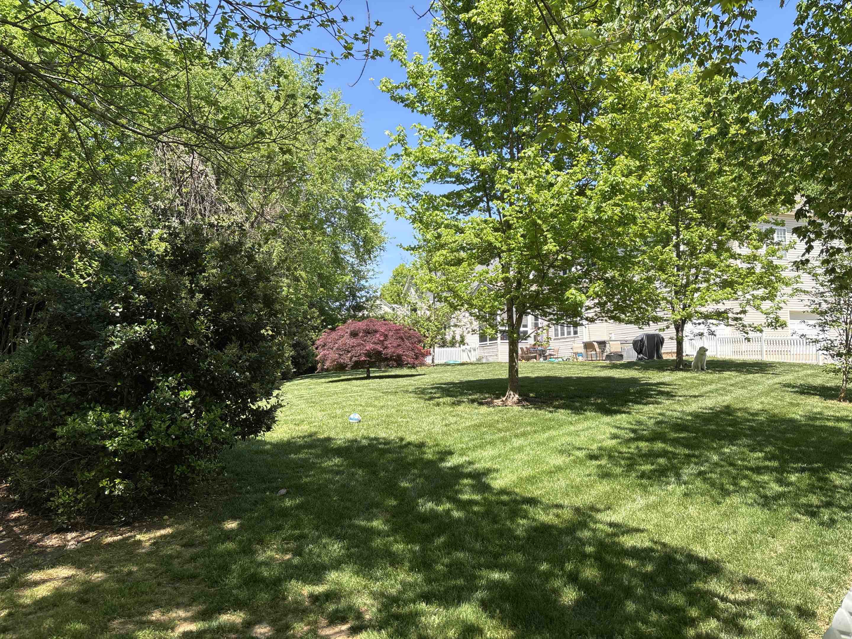 Cornelius, NC - White picket fence