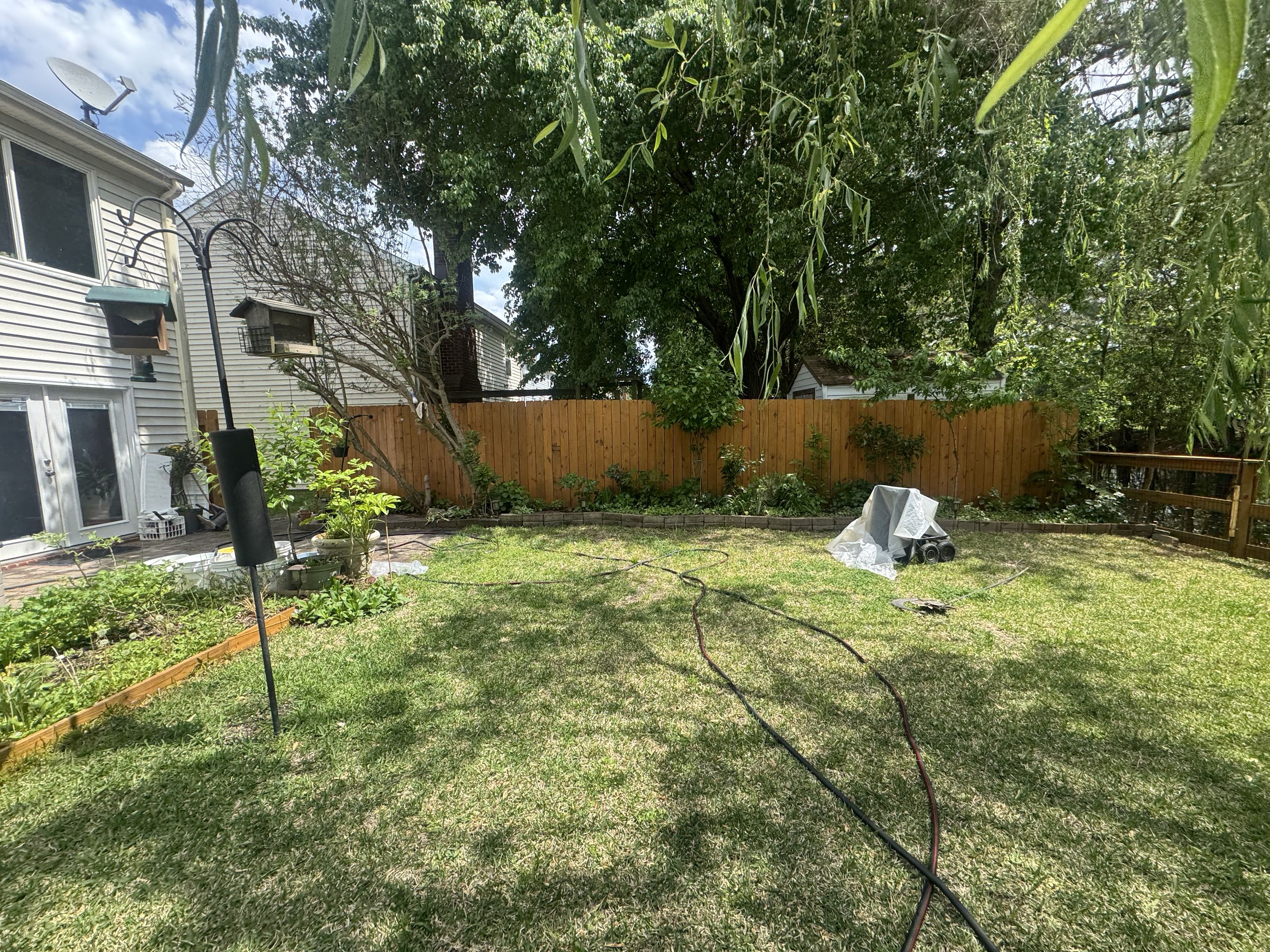 Virginia Beach, VA - Stain golden rod