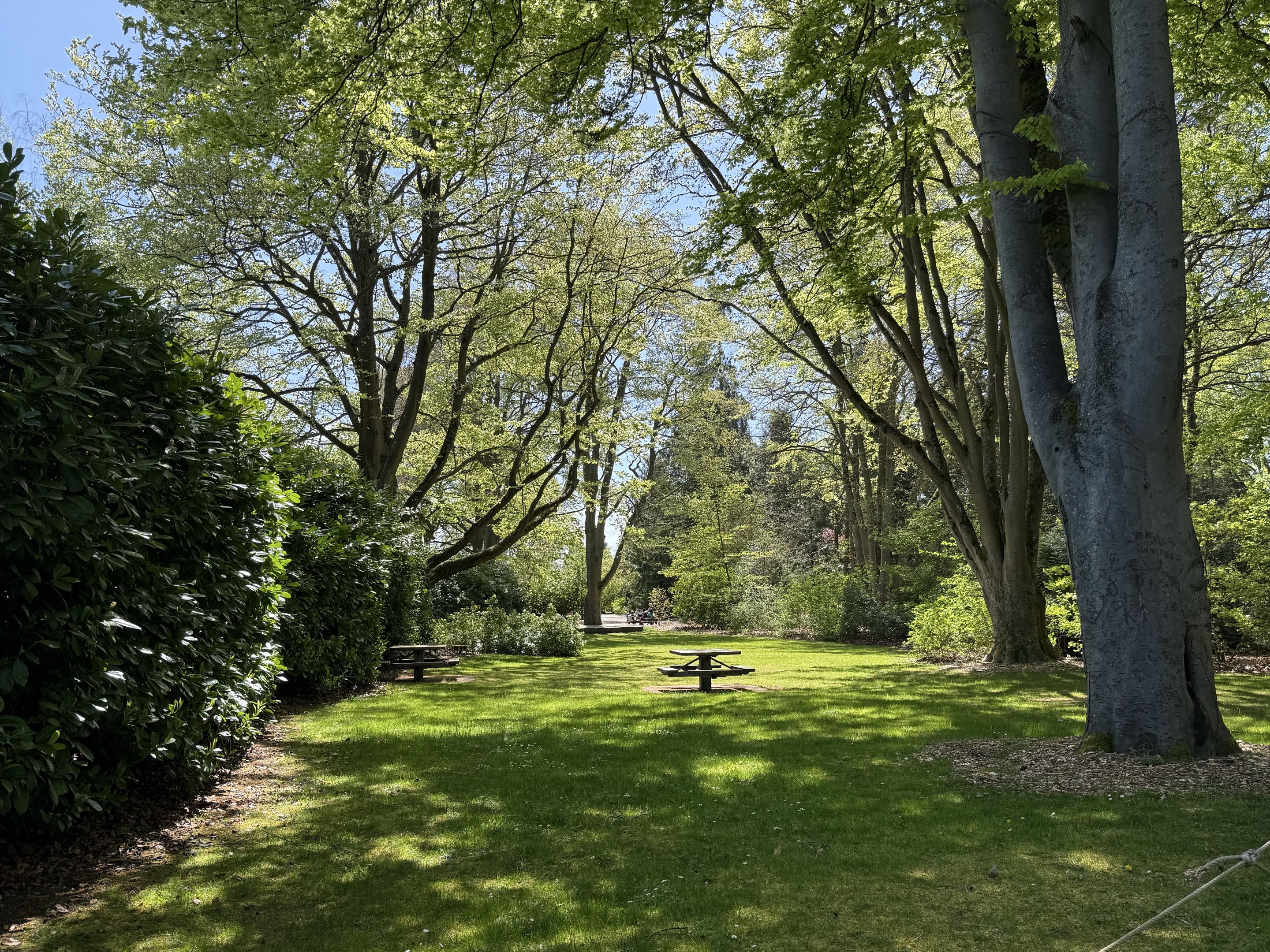 Seattle, WA - We get to work at the zoo today!