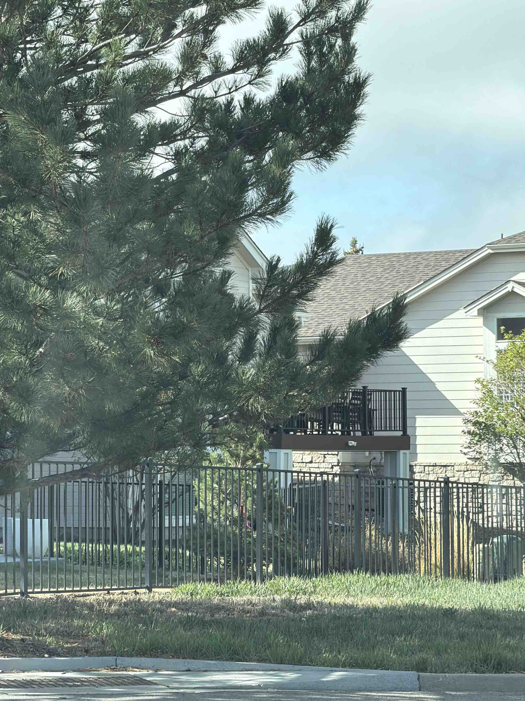 Castle Rock, CO - Top Rail Fence is in Castle Rock, CO doing free estimates for Ameristar Steel Fencing!