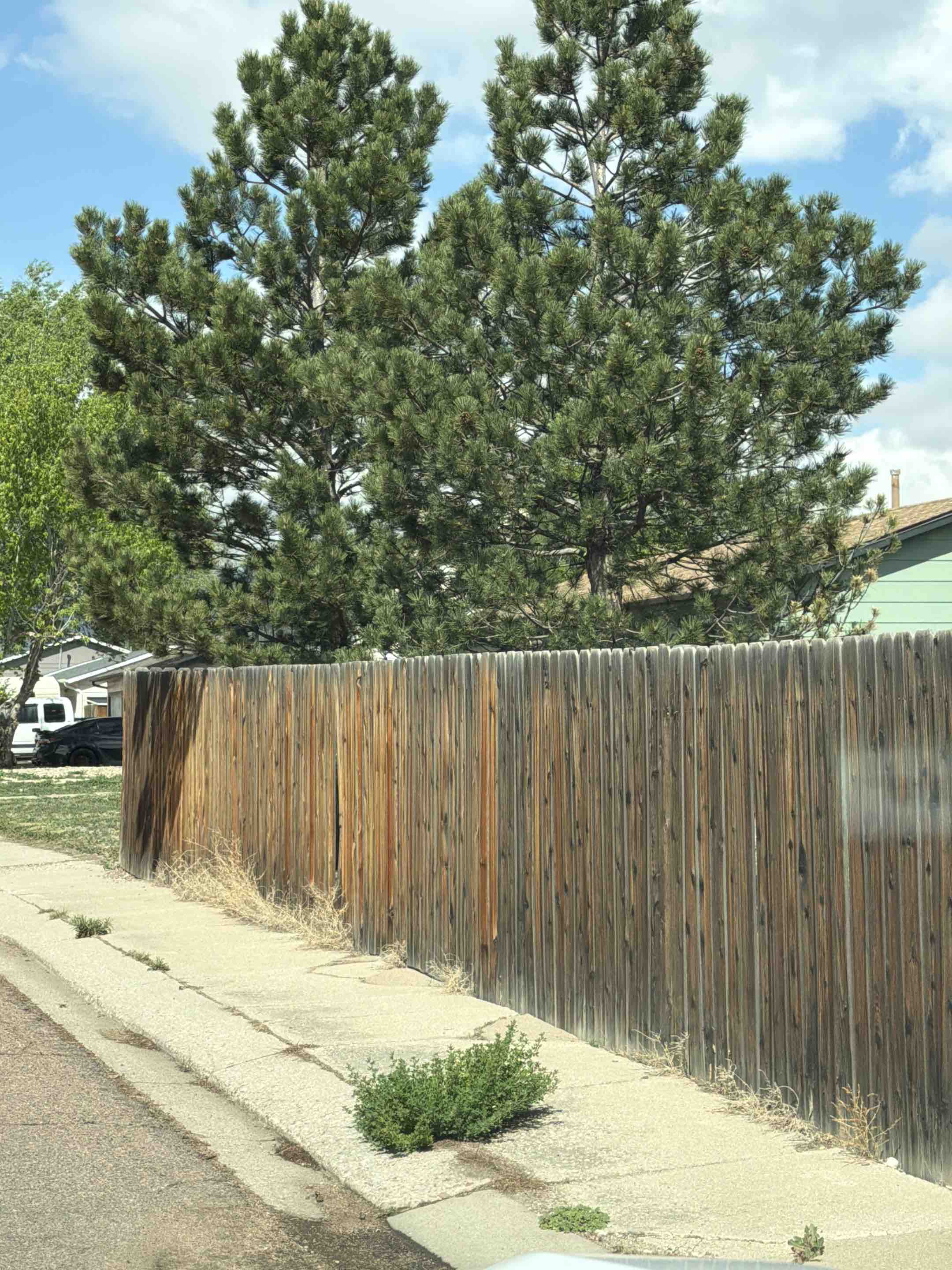 Colorado Springs, CO - Top Rail Fence is in Colorado Springs doing estimates for Cedar Privacy Fencing!