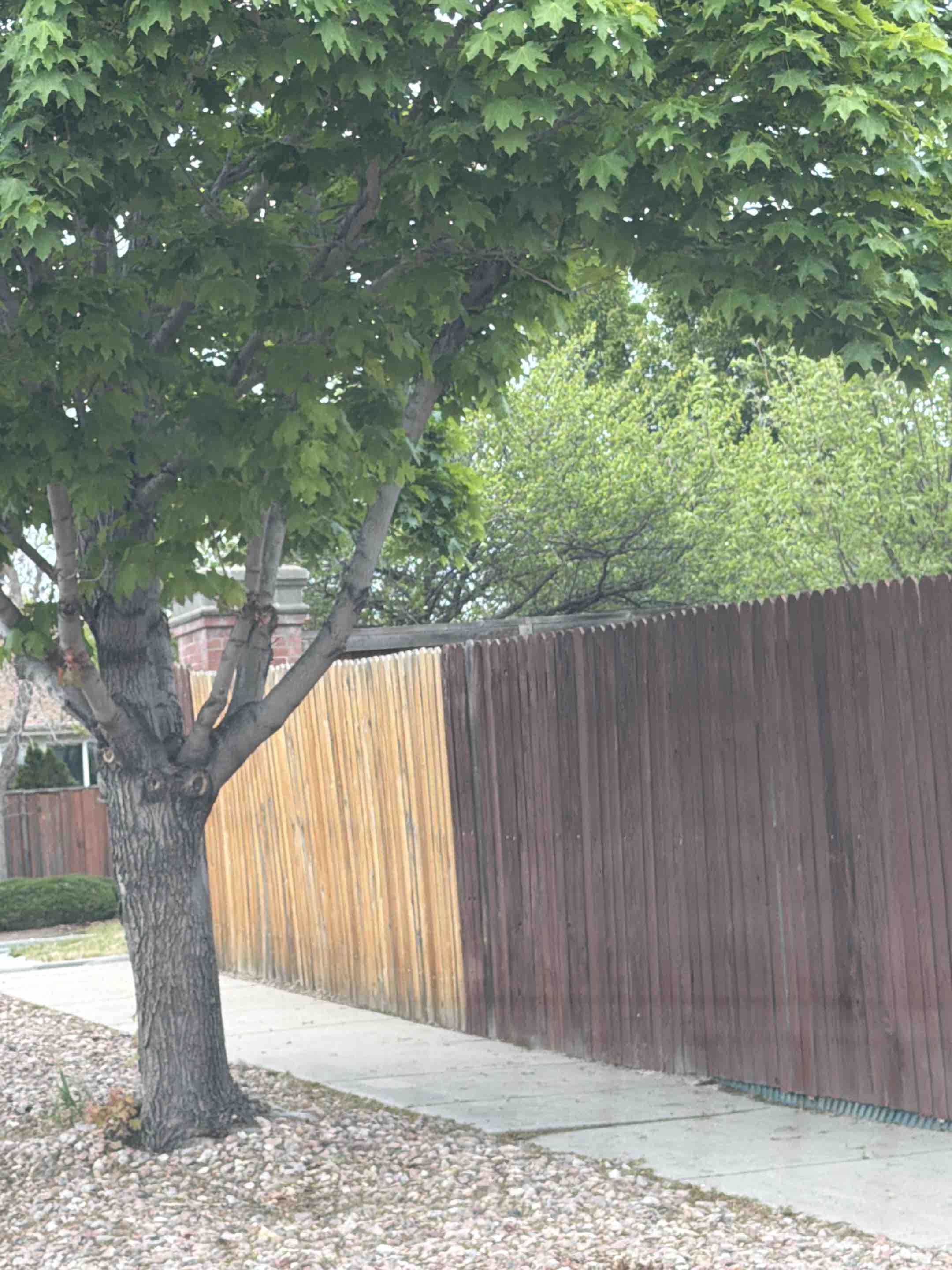 Colorado Springs, CO - Top Rail Fence is in Colorado Springs doing free estimates for Cedar Privacy Fencing!