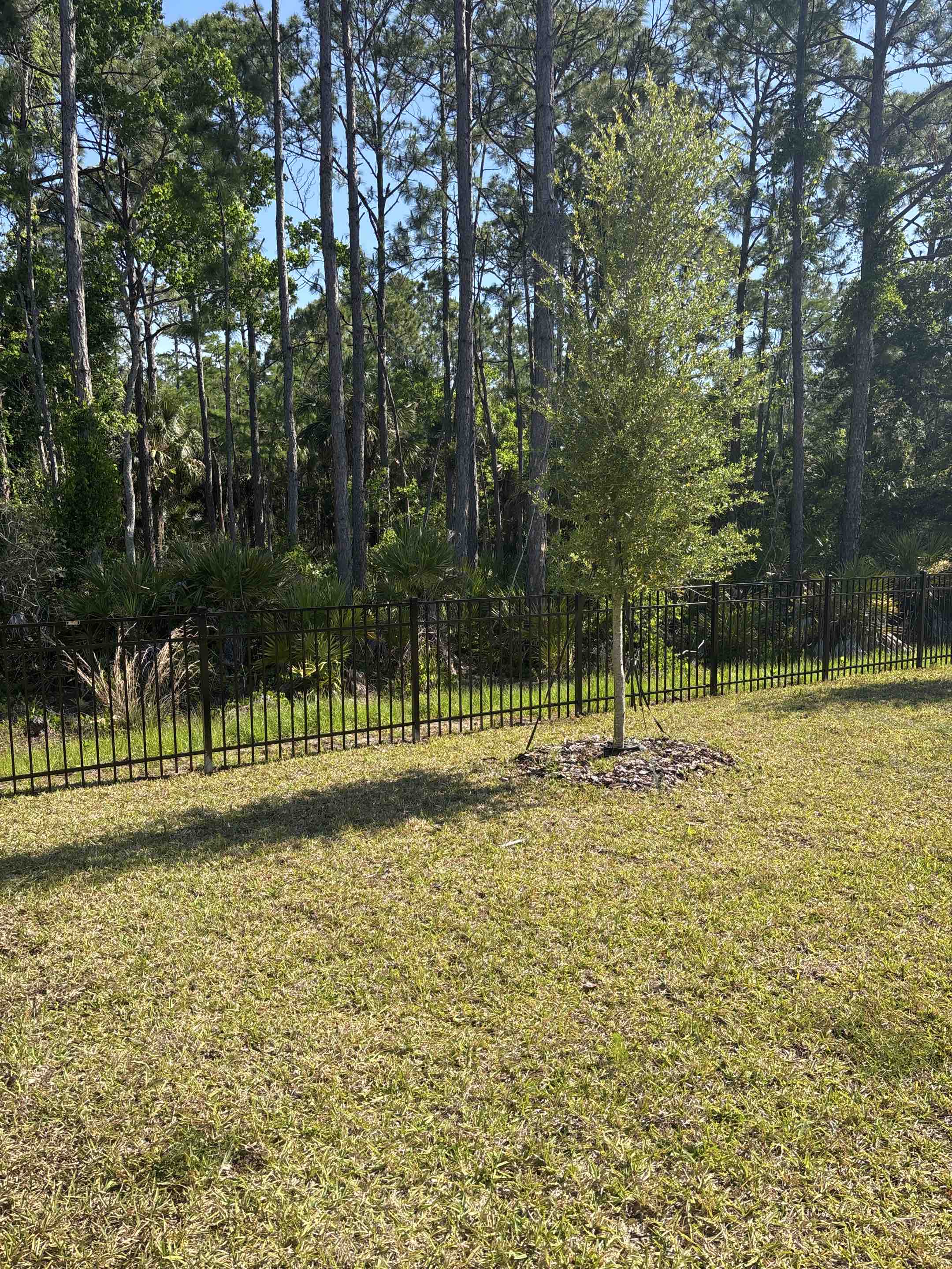 Ormond Beach, FL - Recently completed a fence installation for 2 neighbors in Brookhaven Trails in Ormond Beach. Installed 4’ 3-rail black aluminum with multiple gates. 