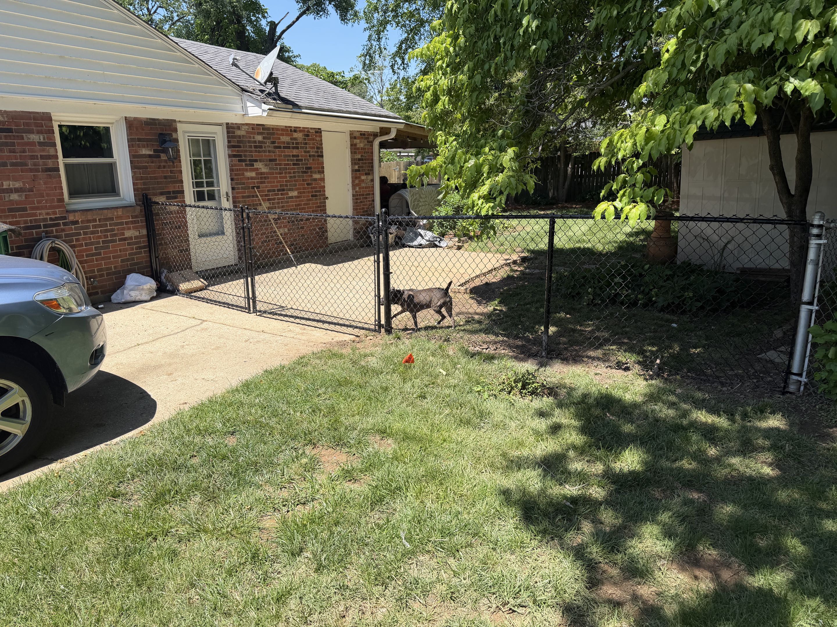 Louisville, KY - 4’ Black Chain Link with 12’ wide double gate in Whipps Millgate
