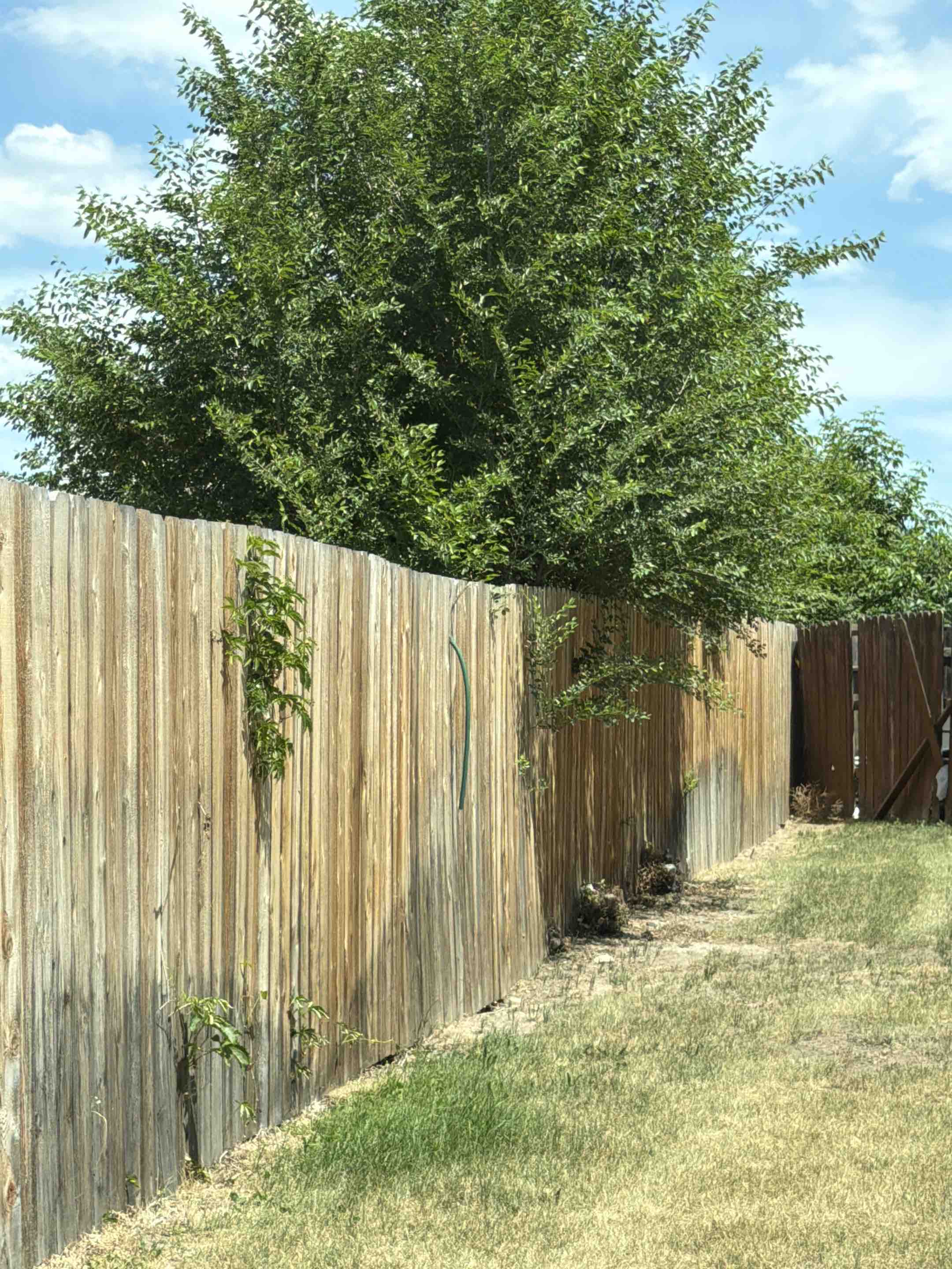 Colorado Springs, CO - Top Rail Fence is in Colorado Springs doing free estimates for Cedar Privacy Fences!