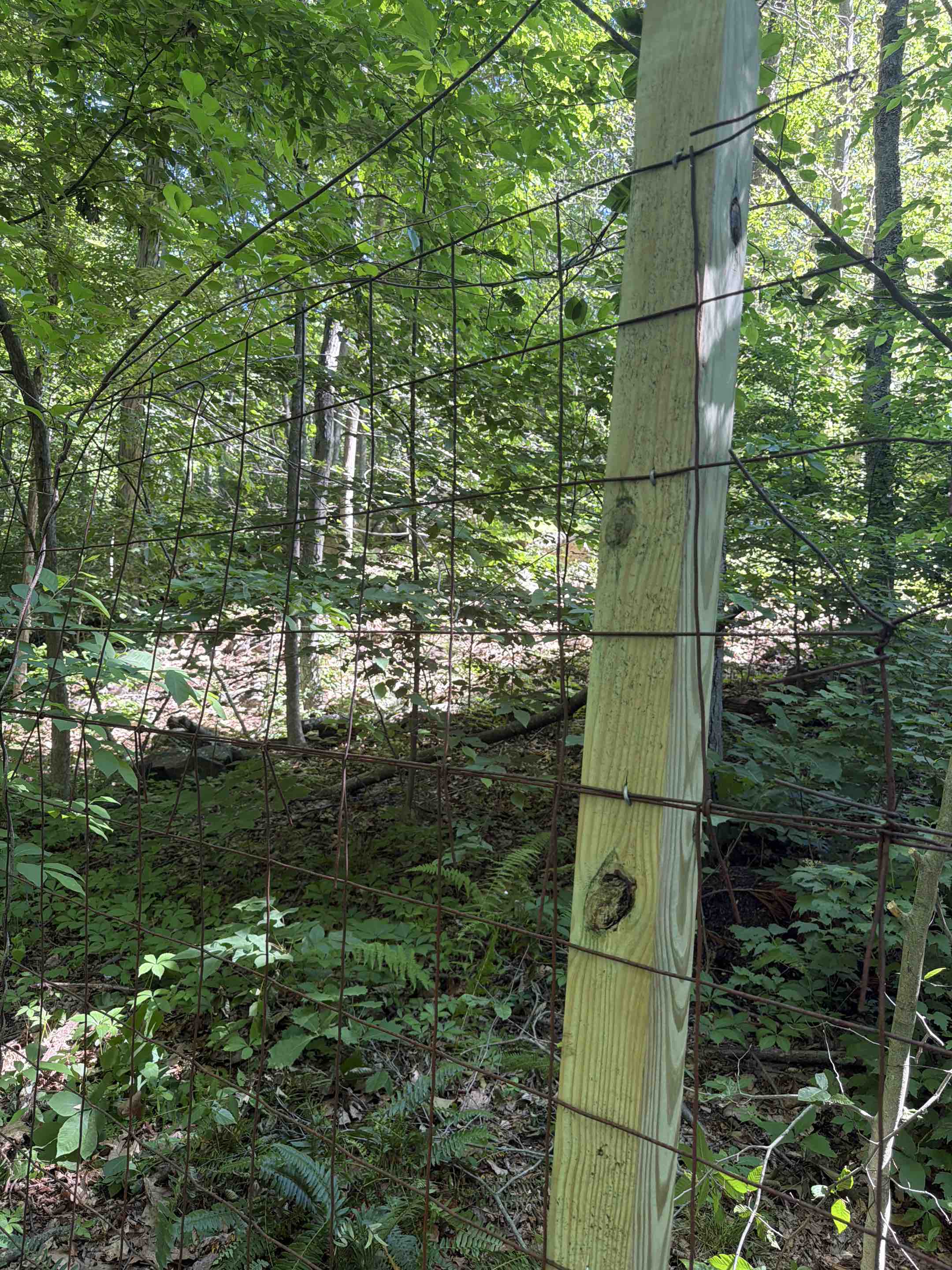Ridgefield, CT - Adding new posts to an old fence to extend the life 