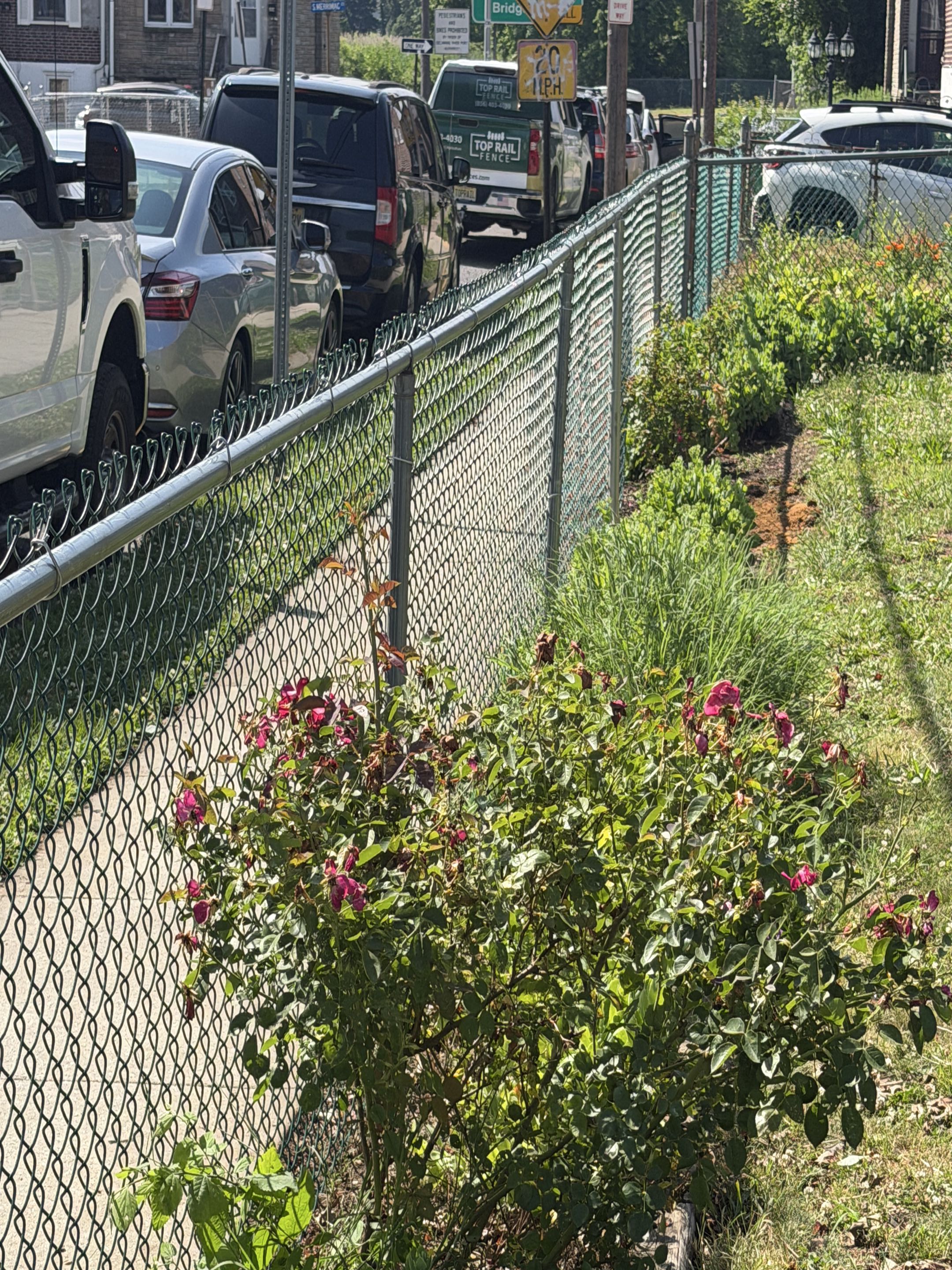 Camden, NJ - Galvanized chain link with green mesh wire installed