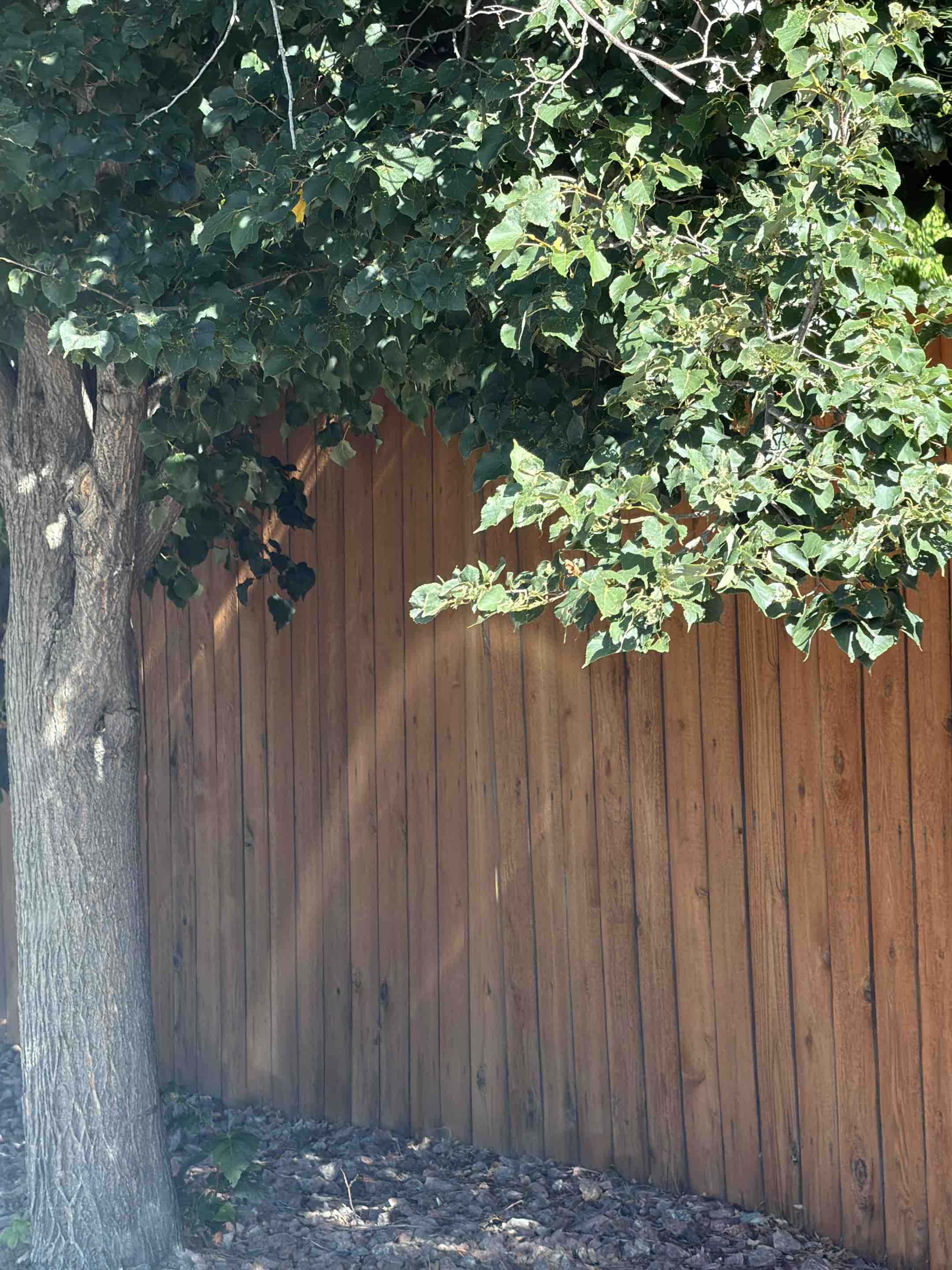 Colorado Springs, CO - Top Rail Fence is in Colorado Springs doing estimates for Cedar Privacy Fences!