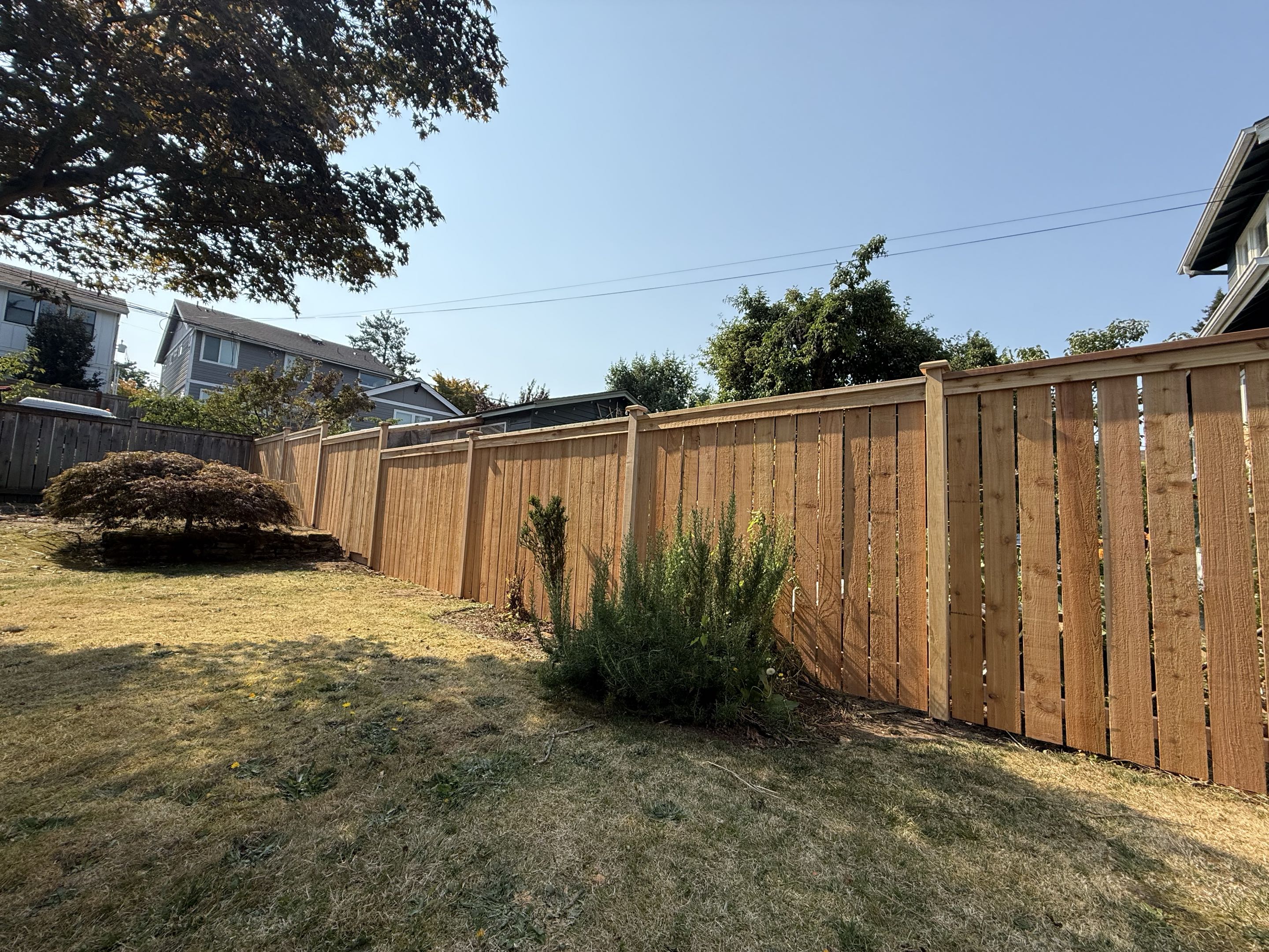Seattle, WA - A cap and trim with moderate spacing in Green Lake.