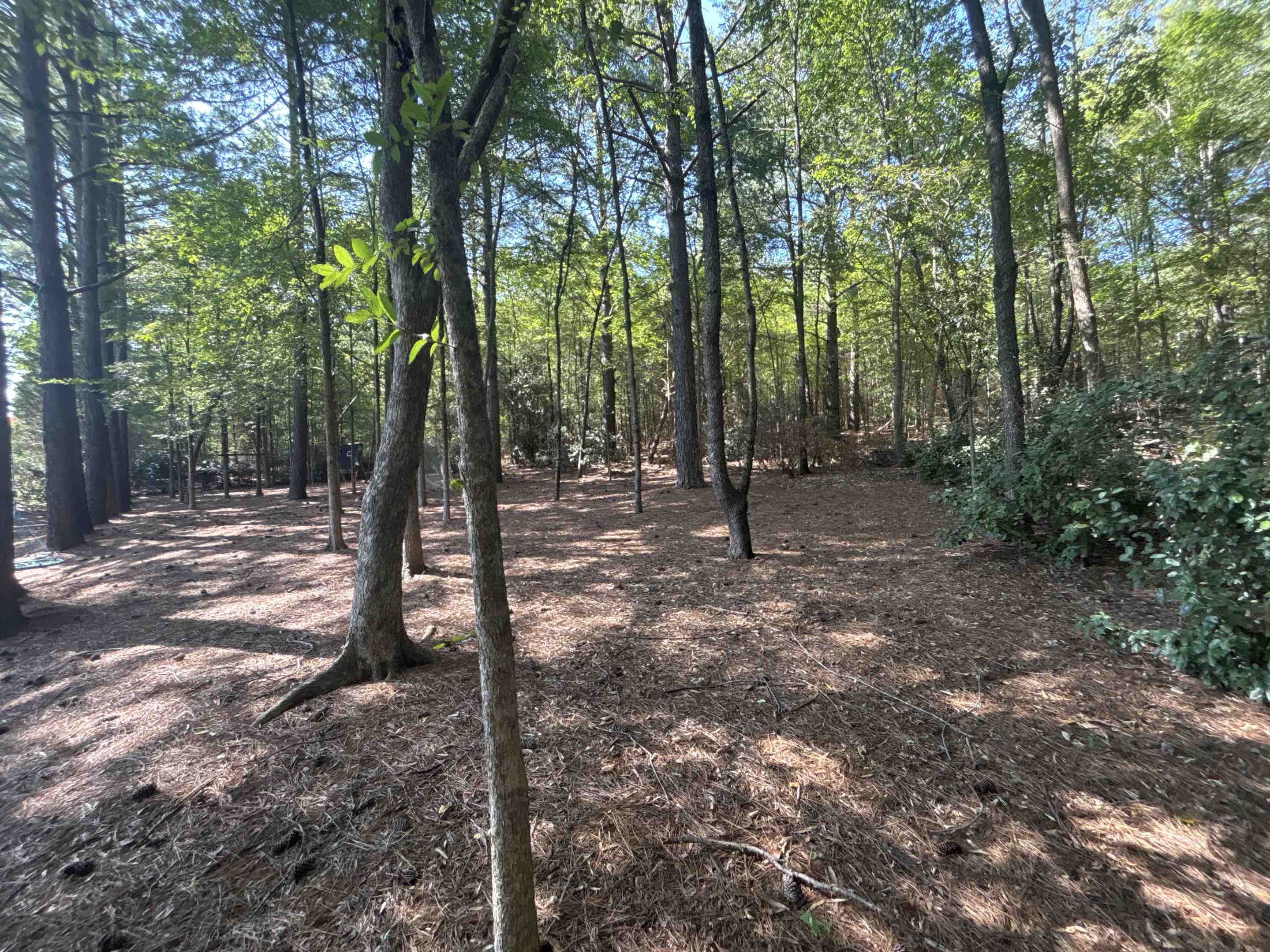 Concord, NC - 5 foot black chain-link