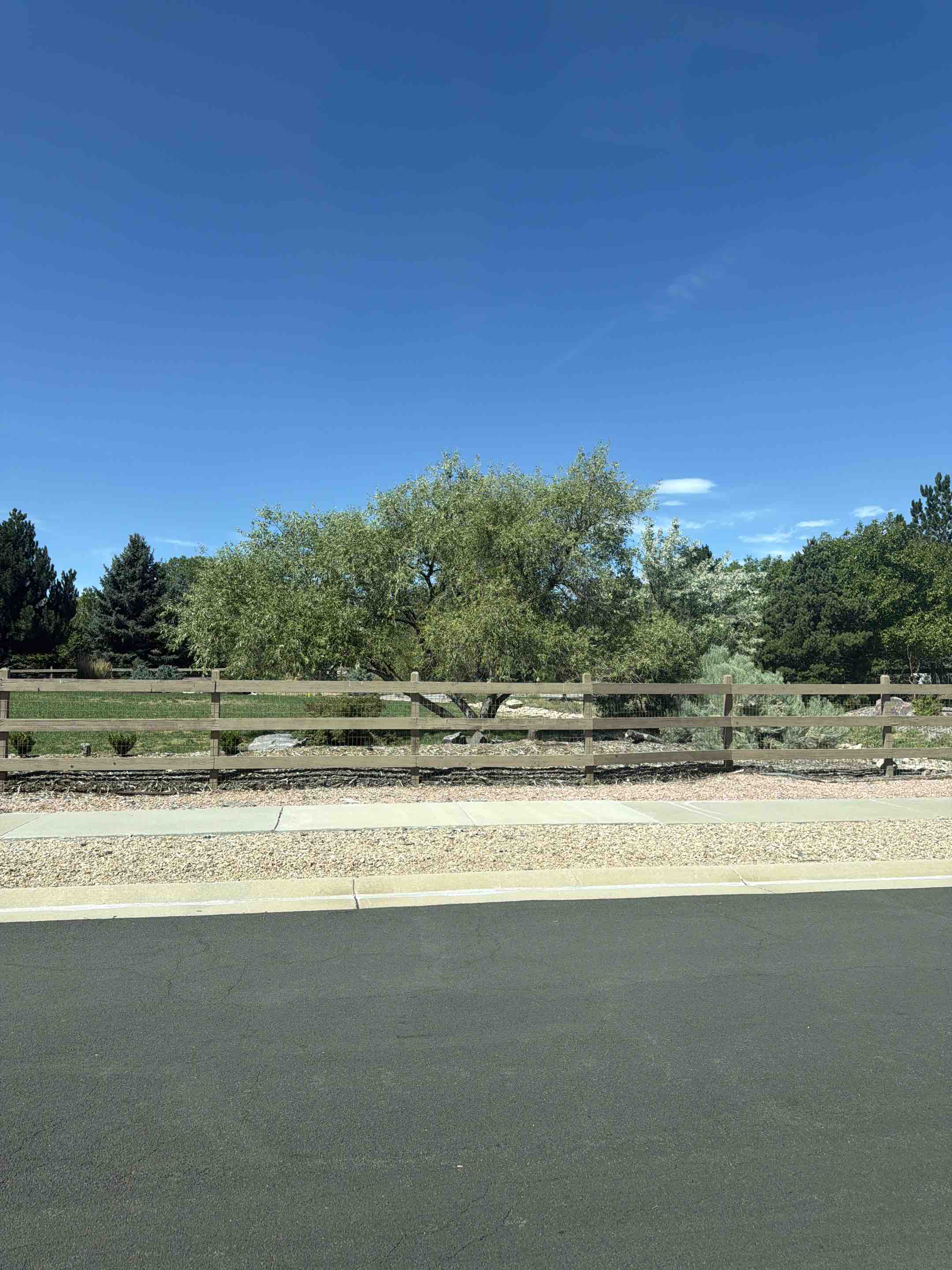 Castle Rock, CO - Top Rail Fence is in Castle Rock doing free estimates for Cedar Ranch Rail Fencing!